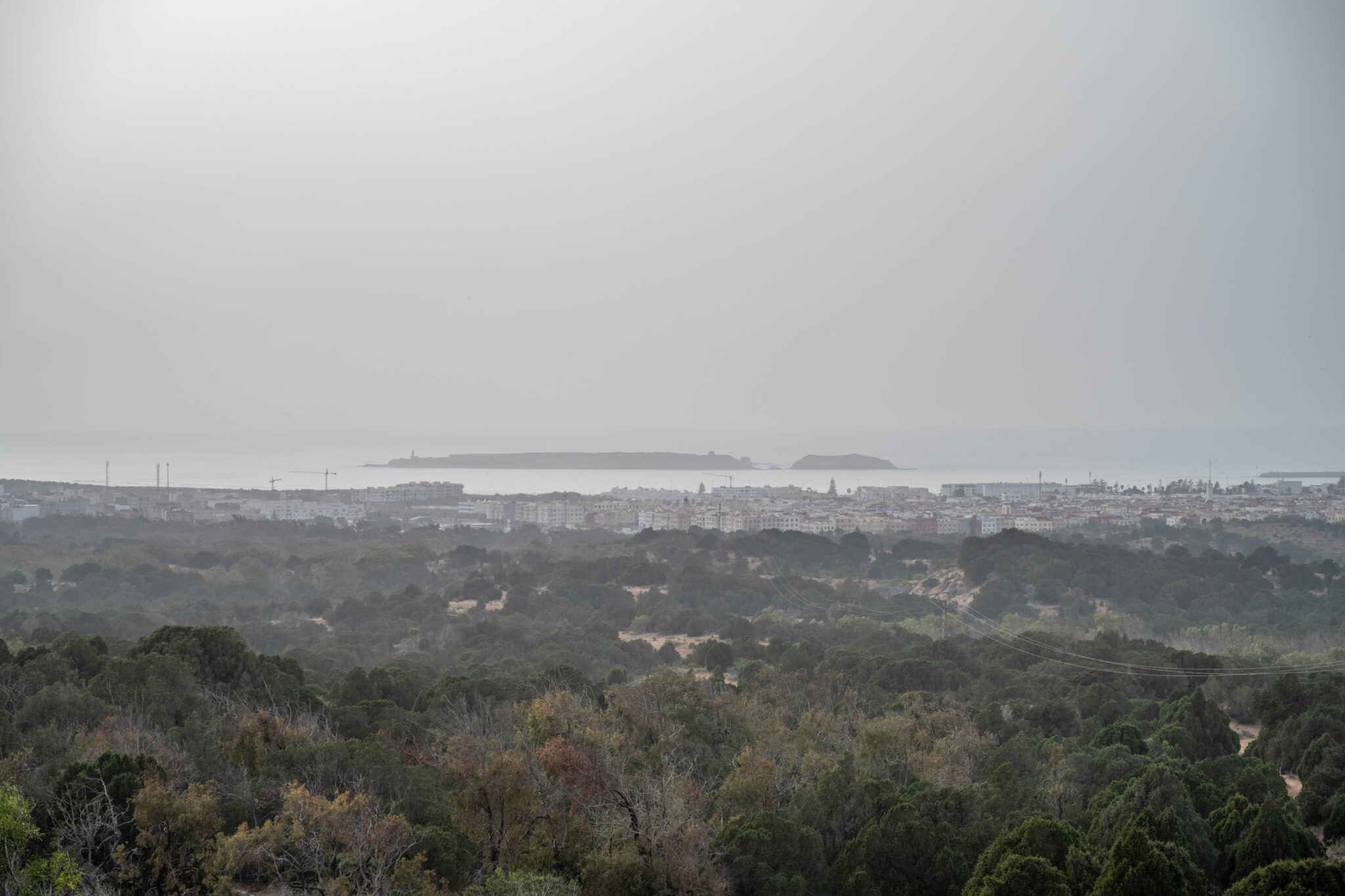 20230217-190210-DSC_1381-HDR
