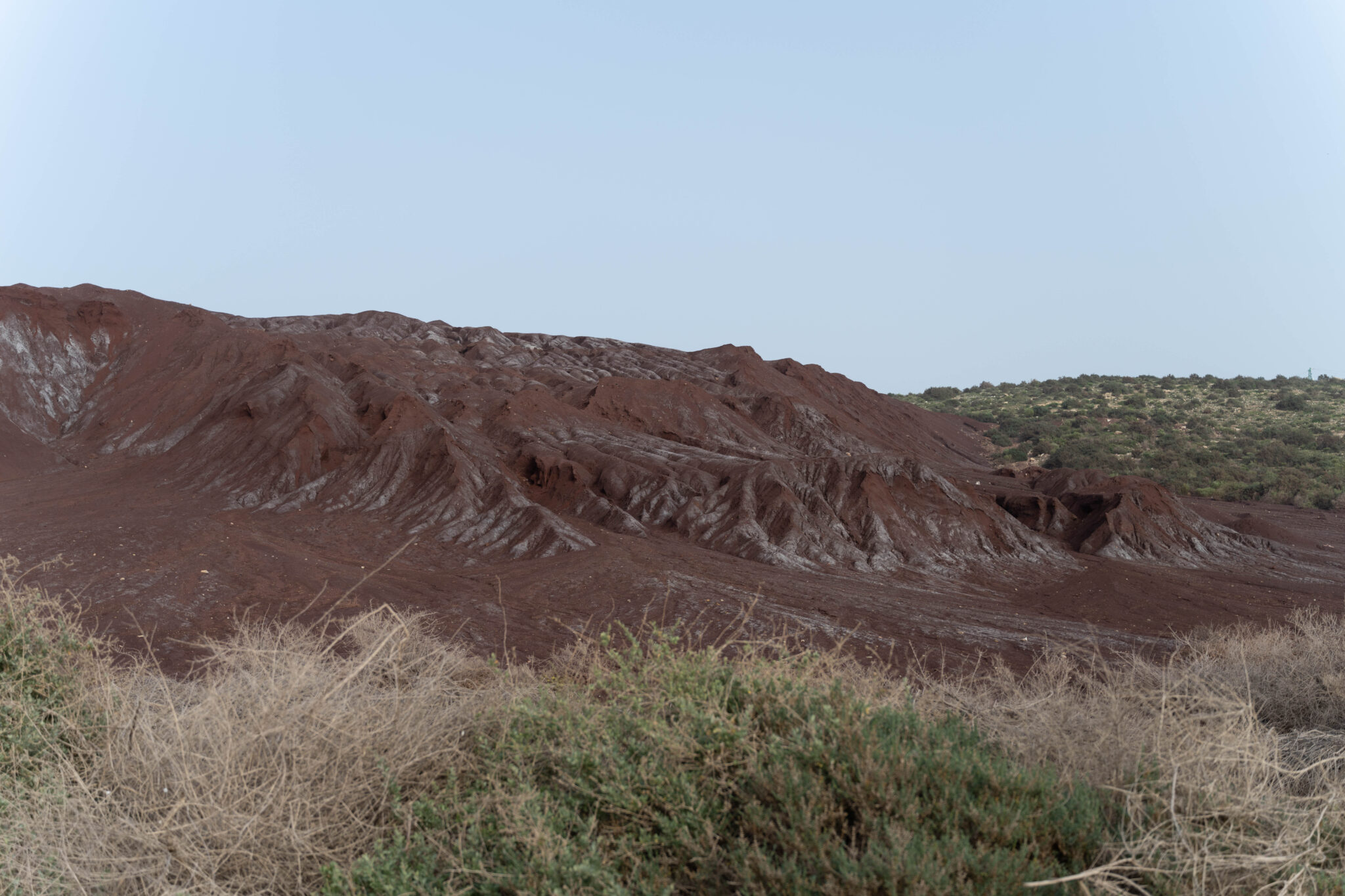 20230219-190415-DSC_1731-1