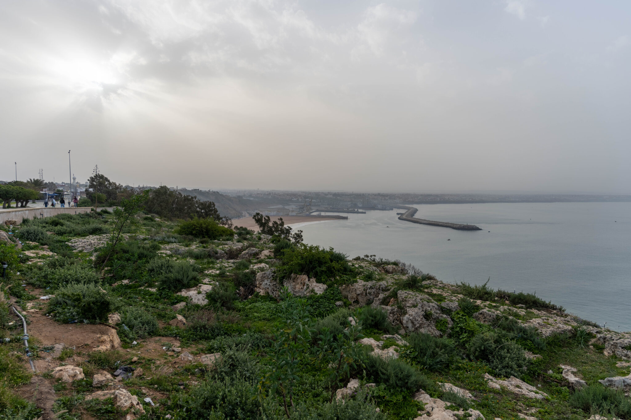20230220-102025-DSC_1760-HDR
