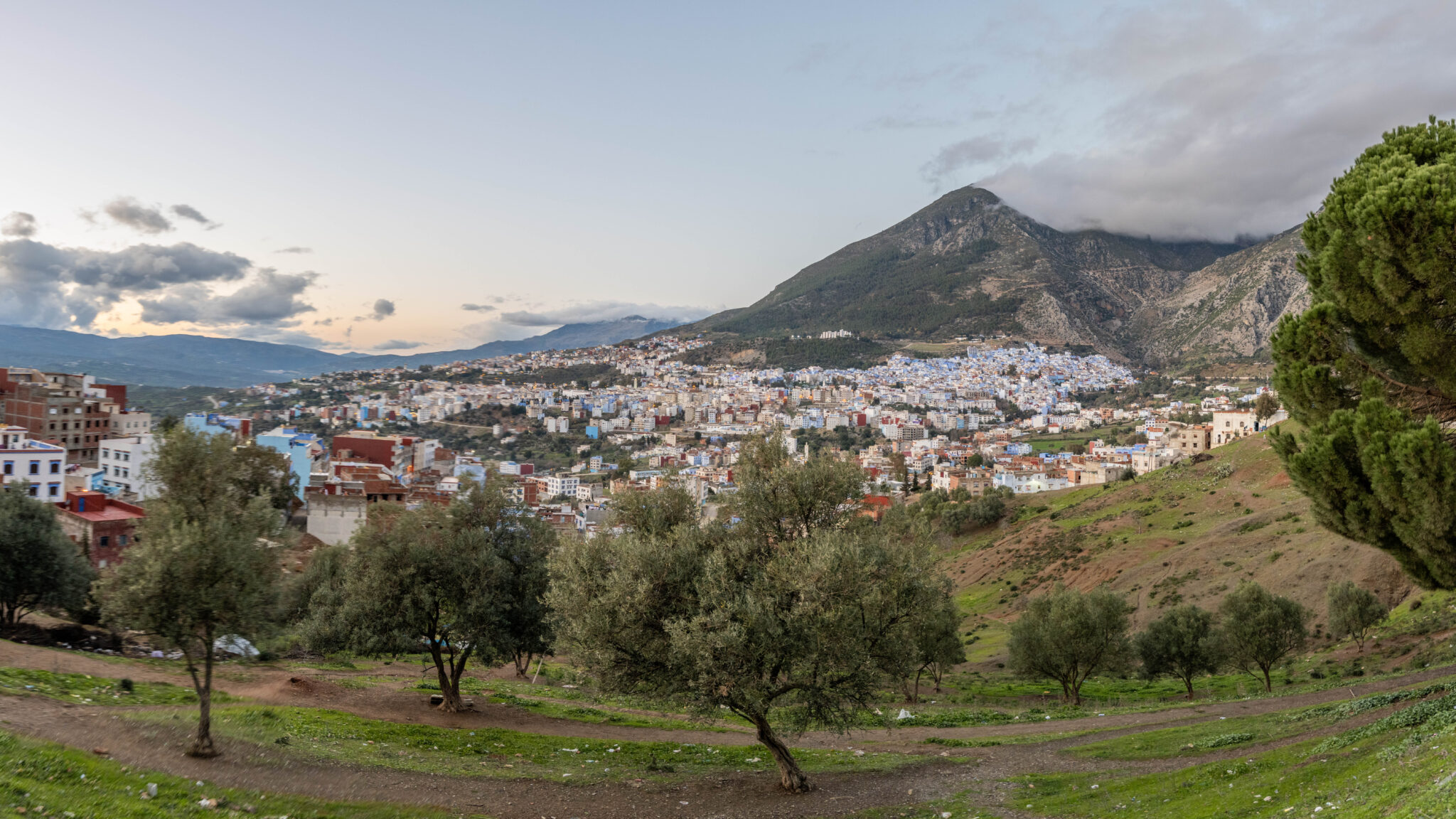 20230226-202337-DSC_2818-Pano
