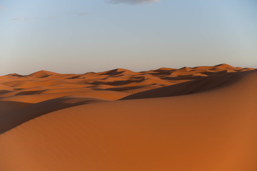 In the Middle of Nowhere