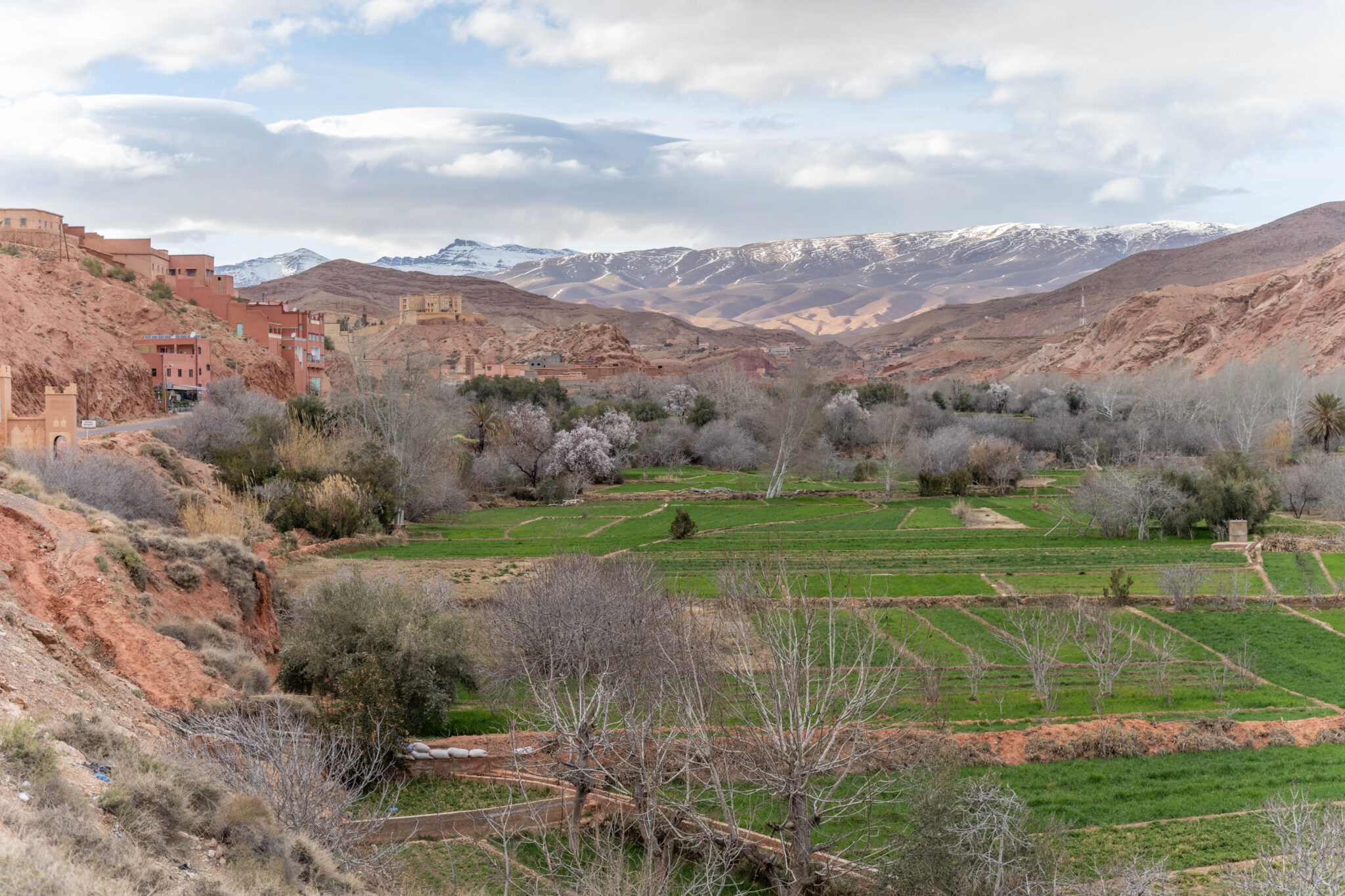 20230301-191825-DSC_3645-HDR