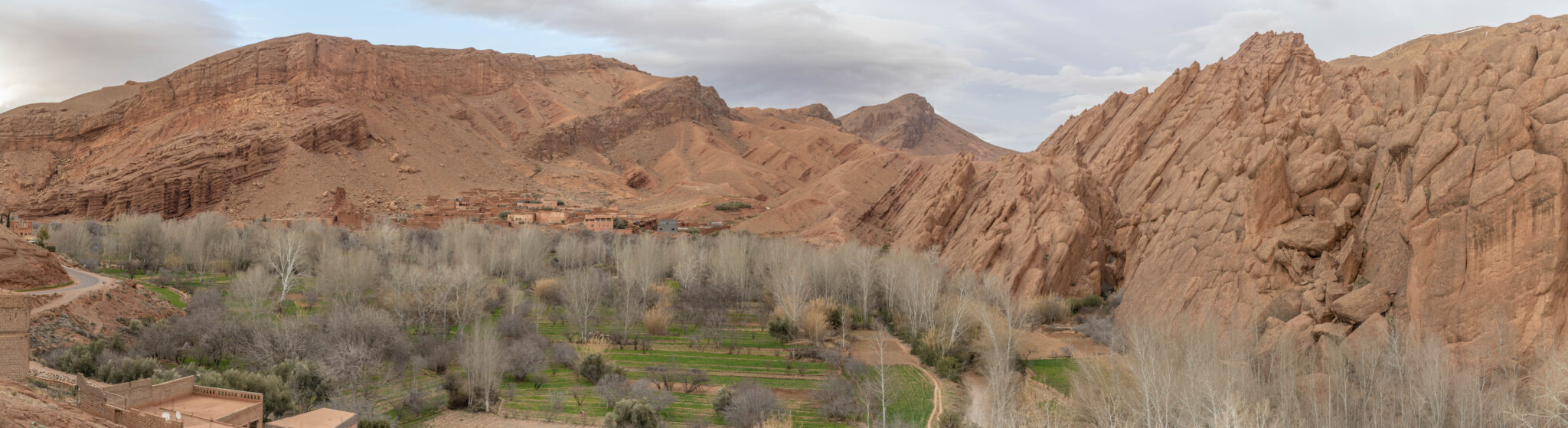 20230301-194051-DSC_3712-Pano