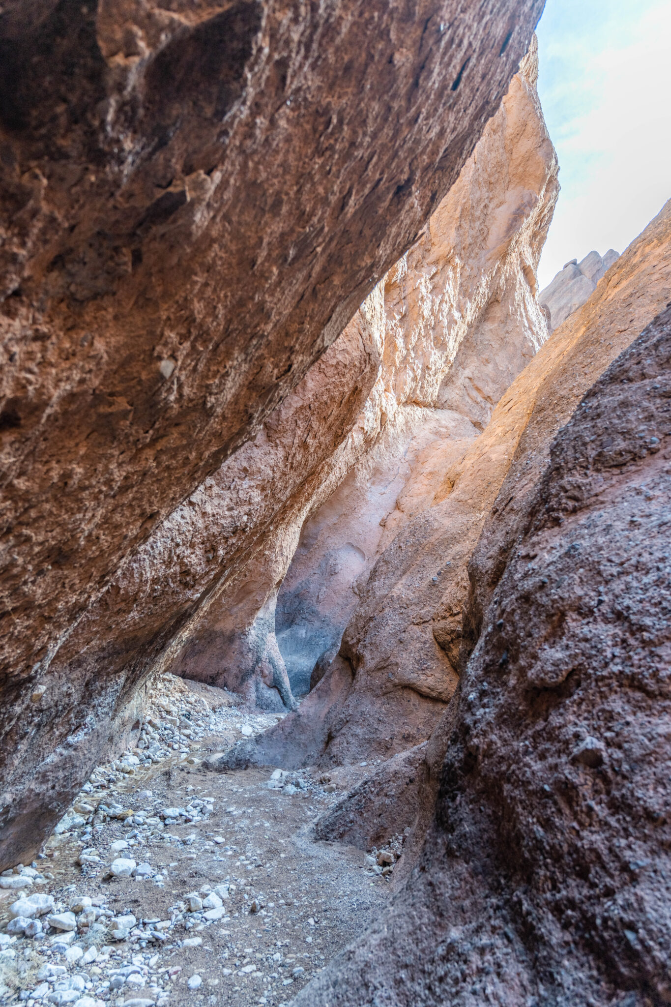 20230302-112300-DSC_3908-HDR