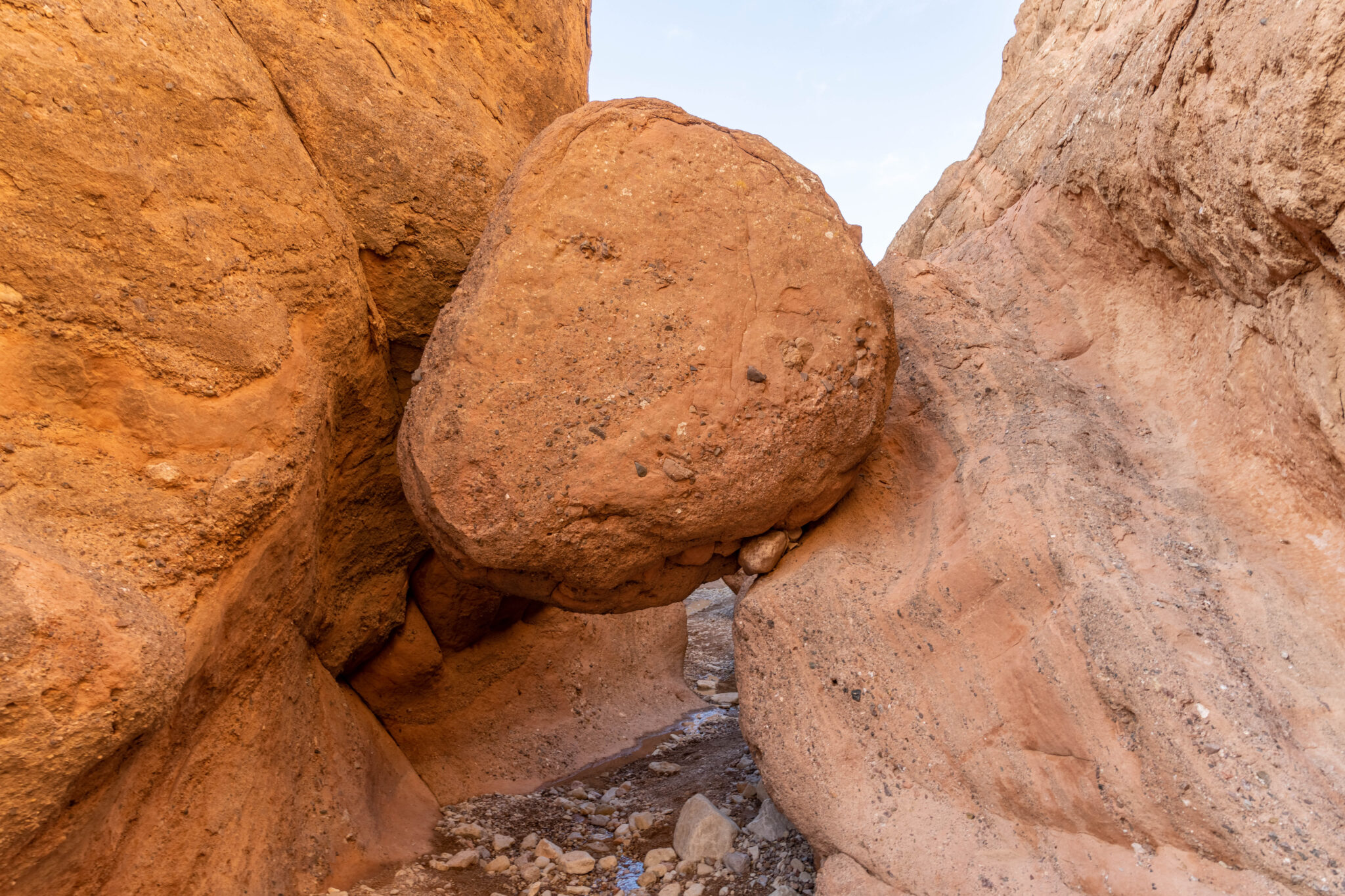 20230302-113142-DSC_3923-HDR