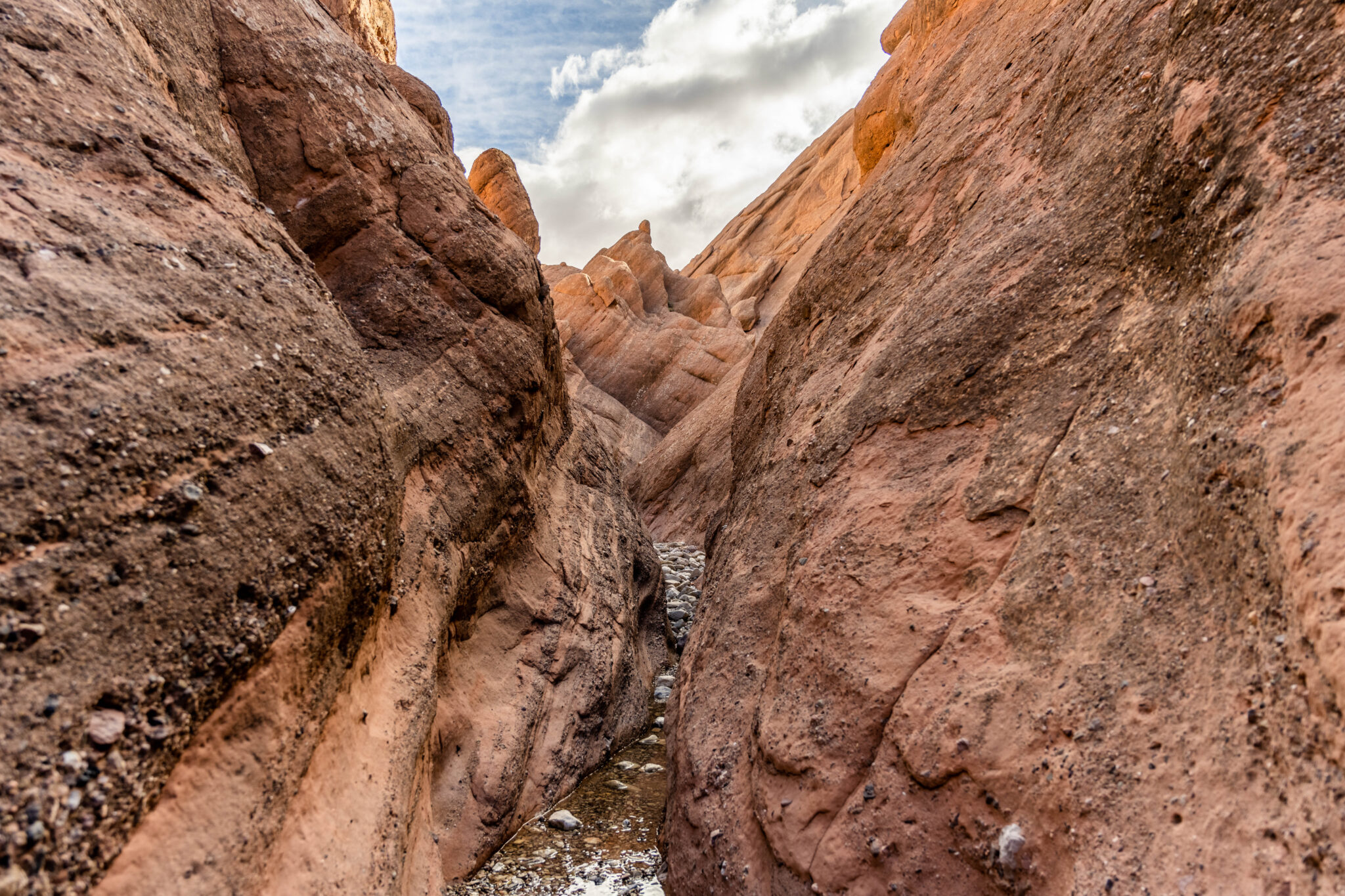 20230302-114009-DSC_3955-HDR