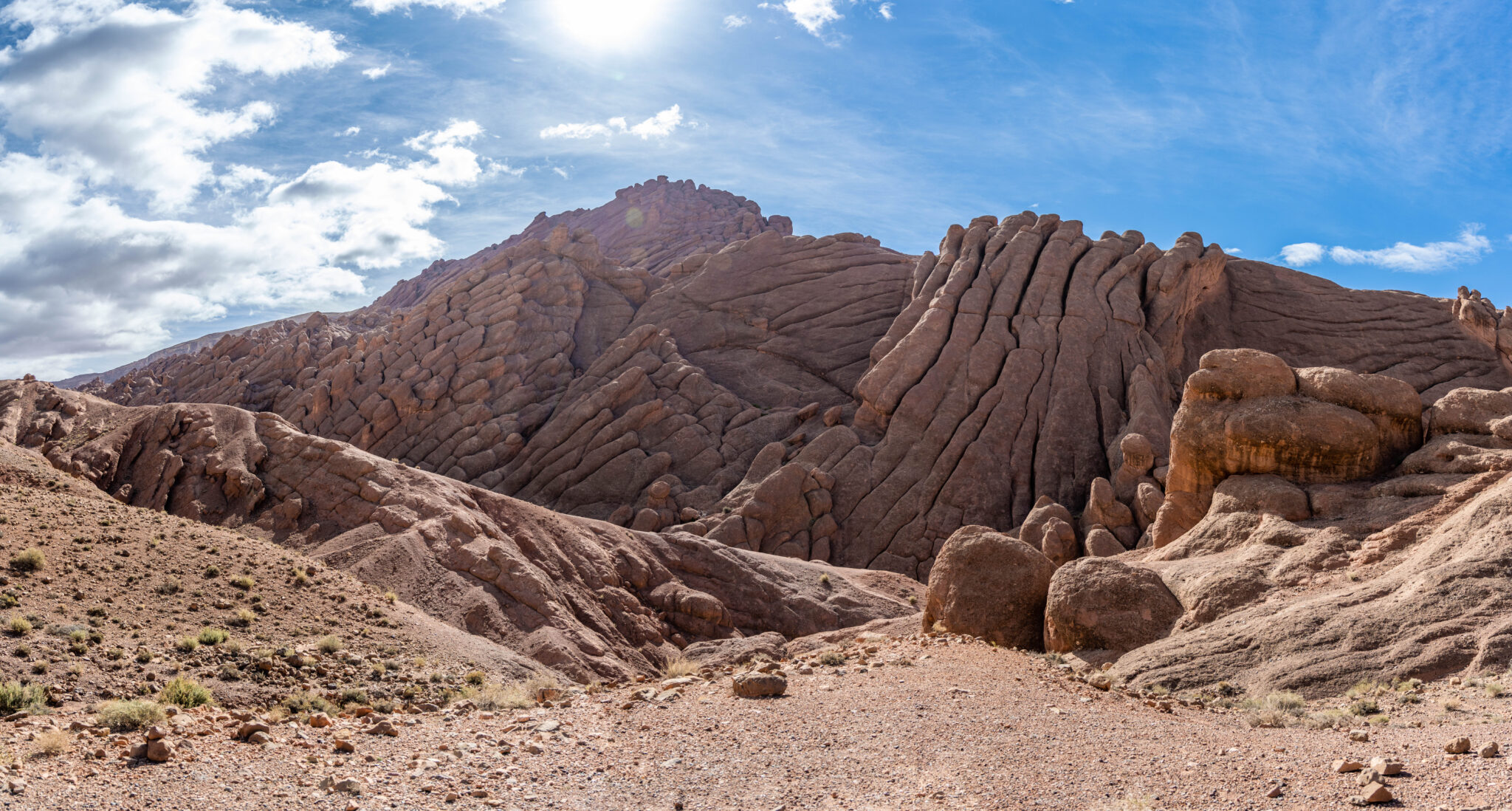 20230302-115559-DSC_3990-Pano