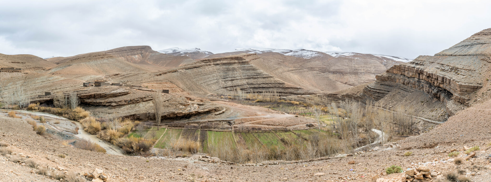 20230302-140346-DSC_4259-Pano