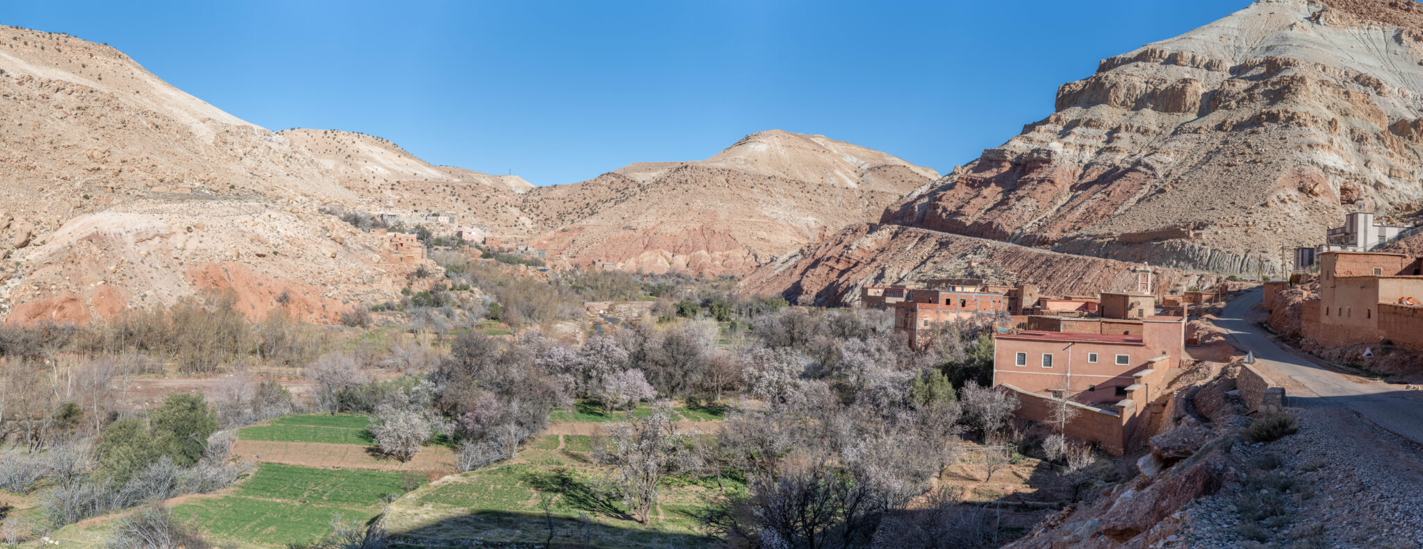 20230303-110344-DSC_4728-Pano