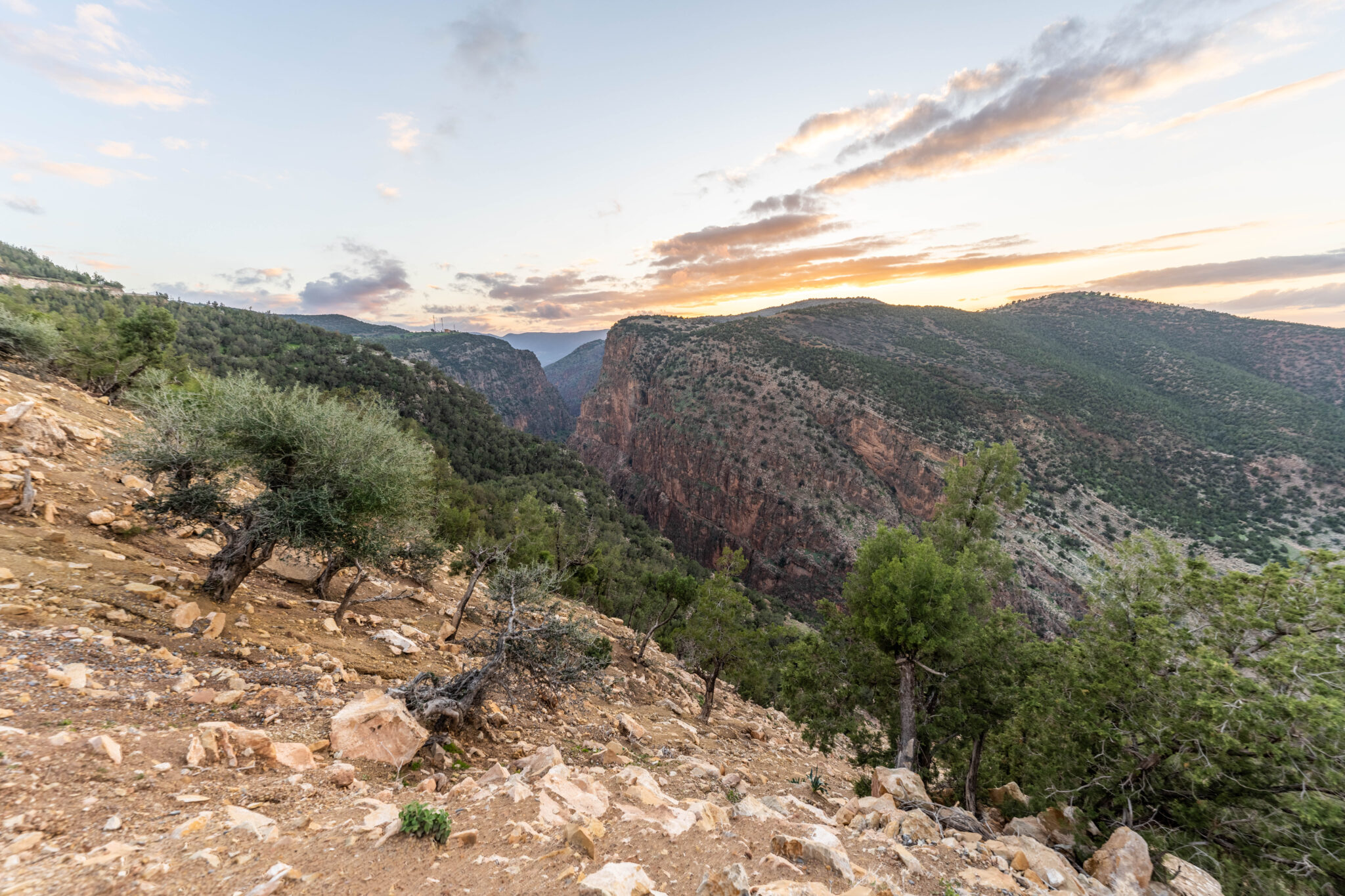 20230303-201750-DSC_5040-HDR
