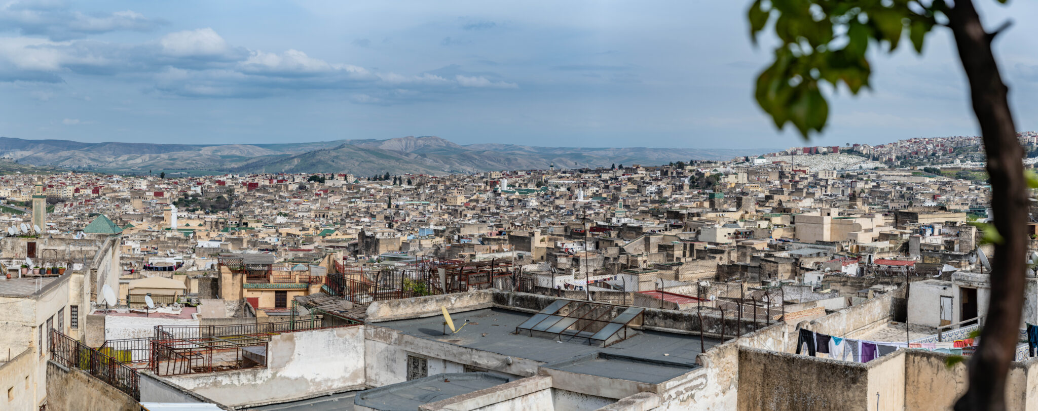 20230305-170437-DSC_5540-Pano