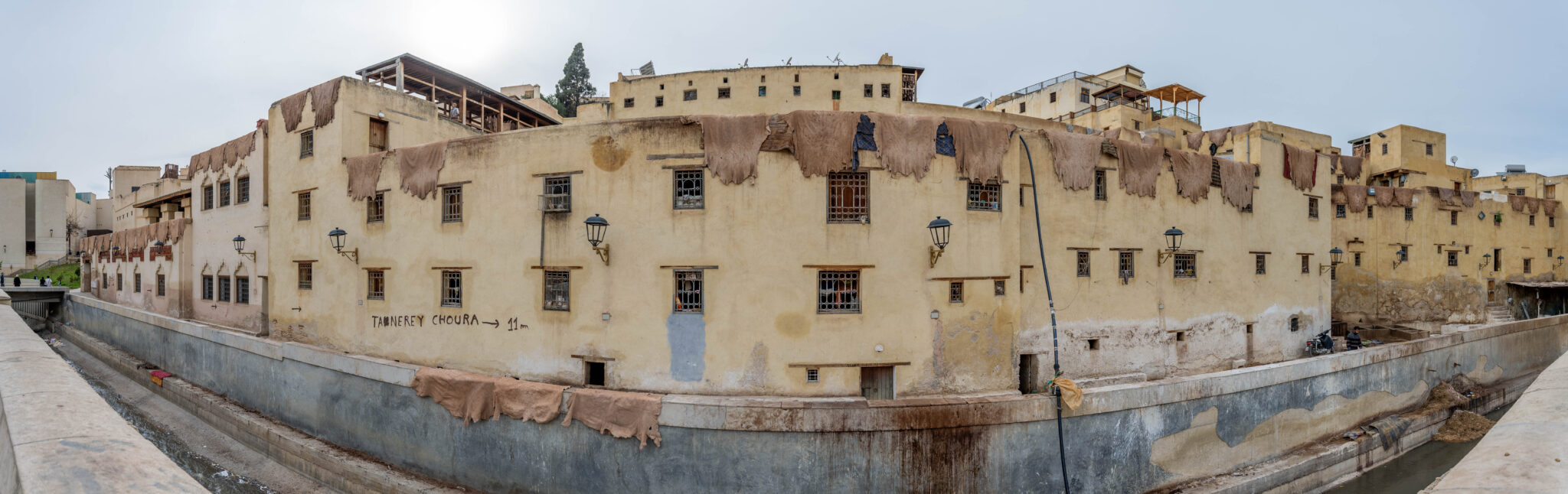 20230305-180222-DSC_5765-Pano