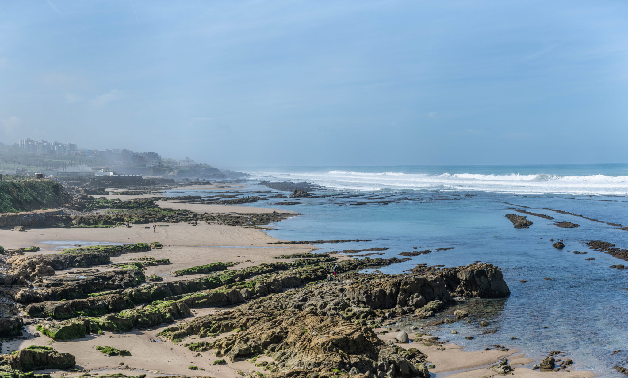 20230310-123533-DSC_6424-Pano