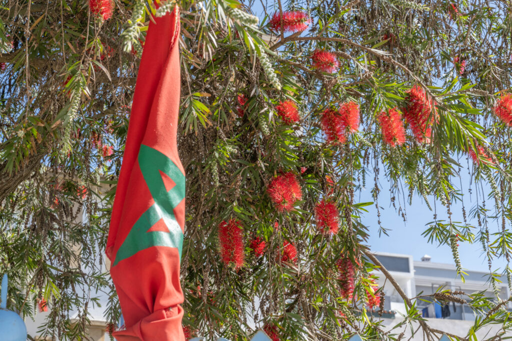 Wrapping Up Morocco
