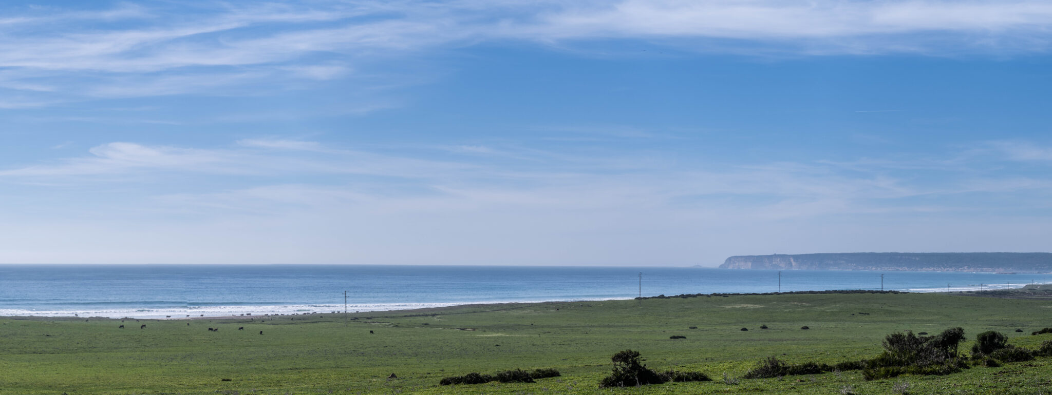 20230312-164133-DSC_6622-Pano