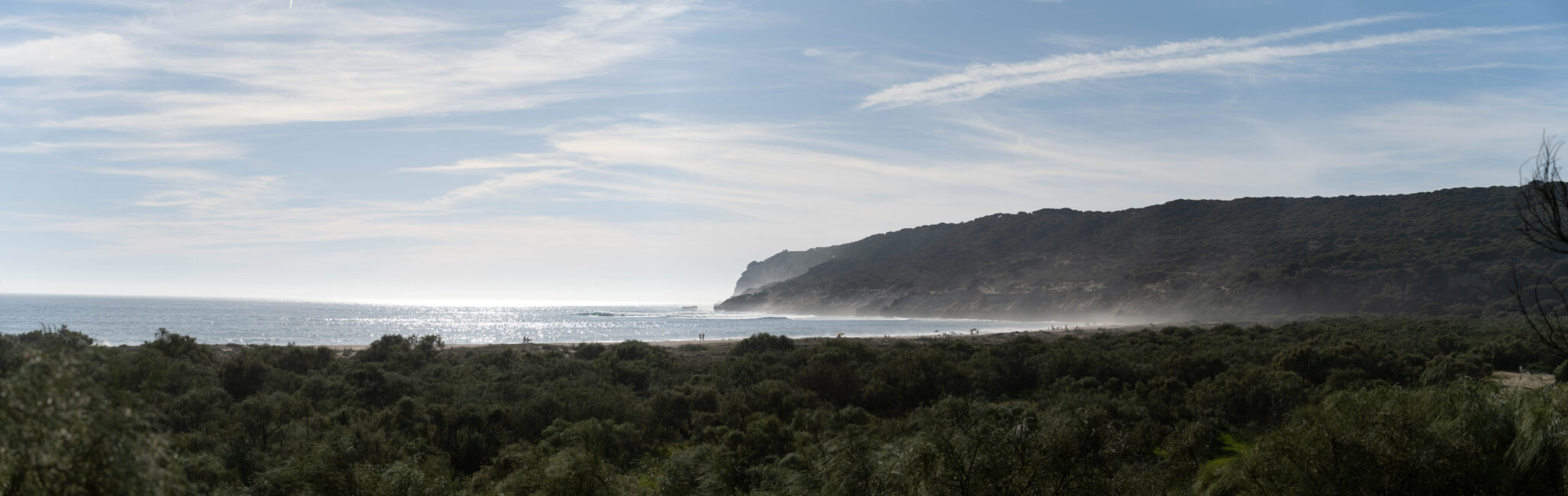 20230312-180821-DSC_6638-Pano