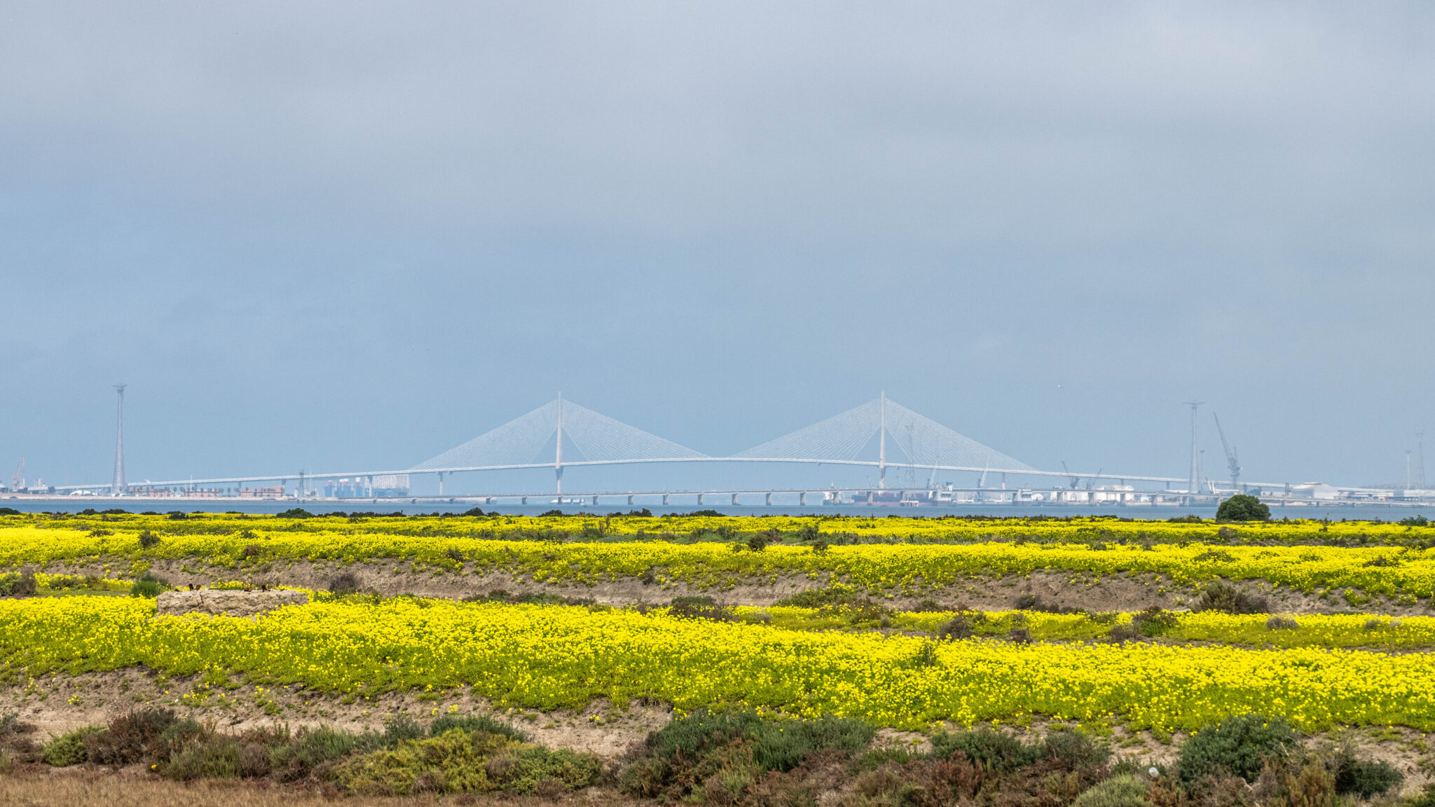 20230313-132841-DSC_6707-HDR