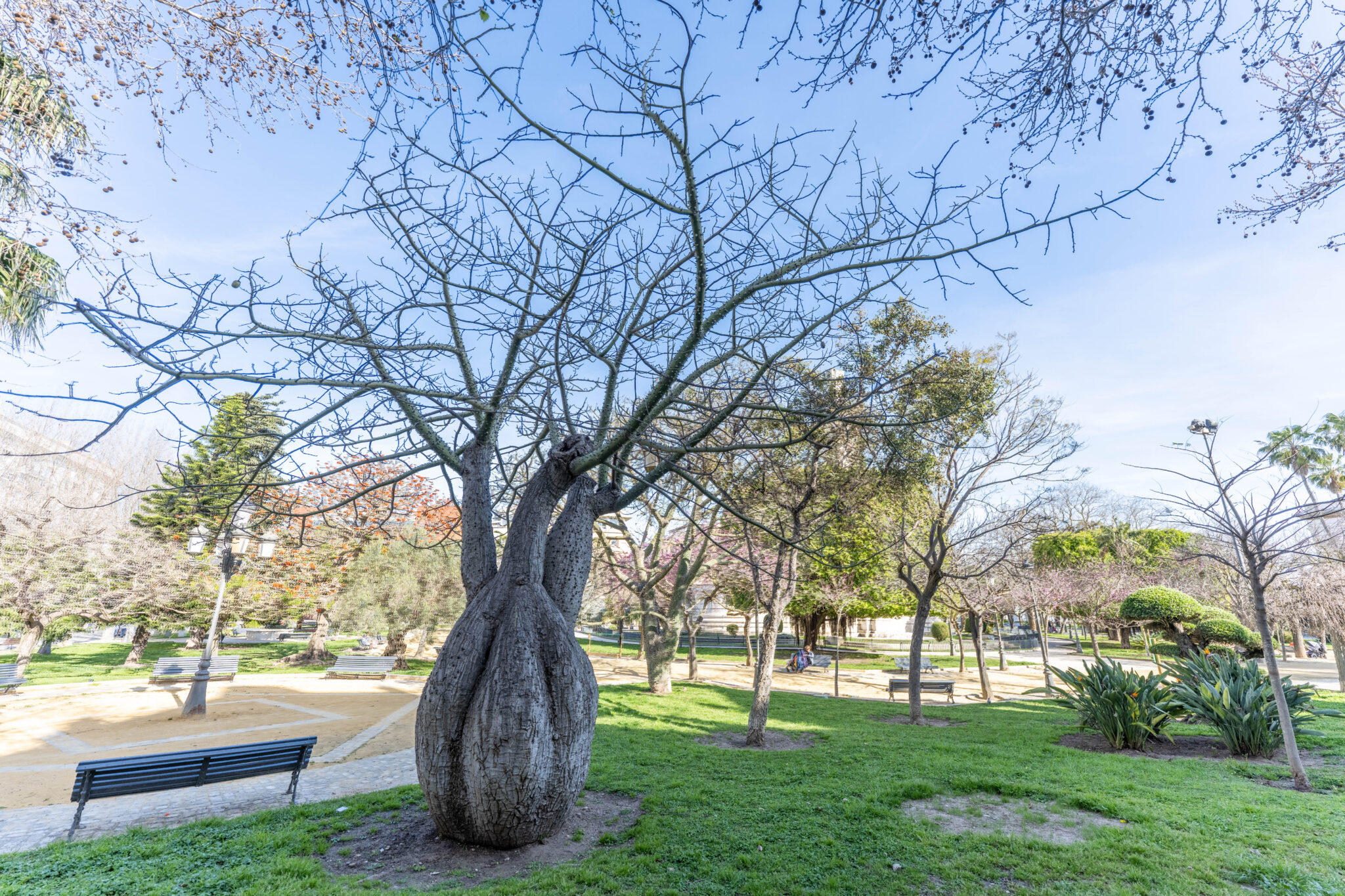 20230313-174928-DSC_6802-HDR