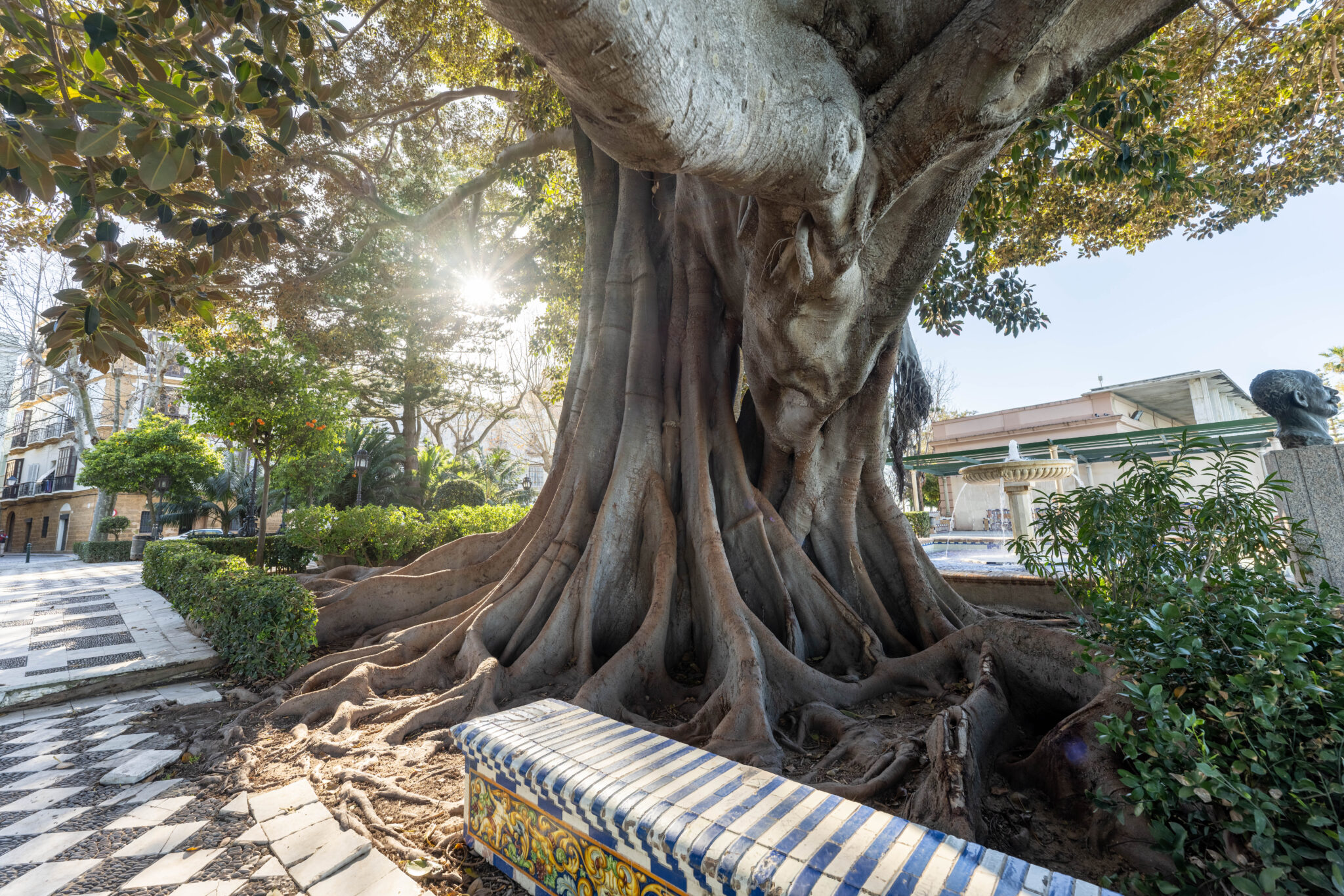 20230314-182421-DSC_7450-HDR