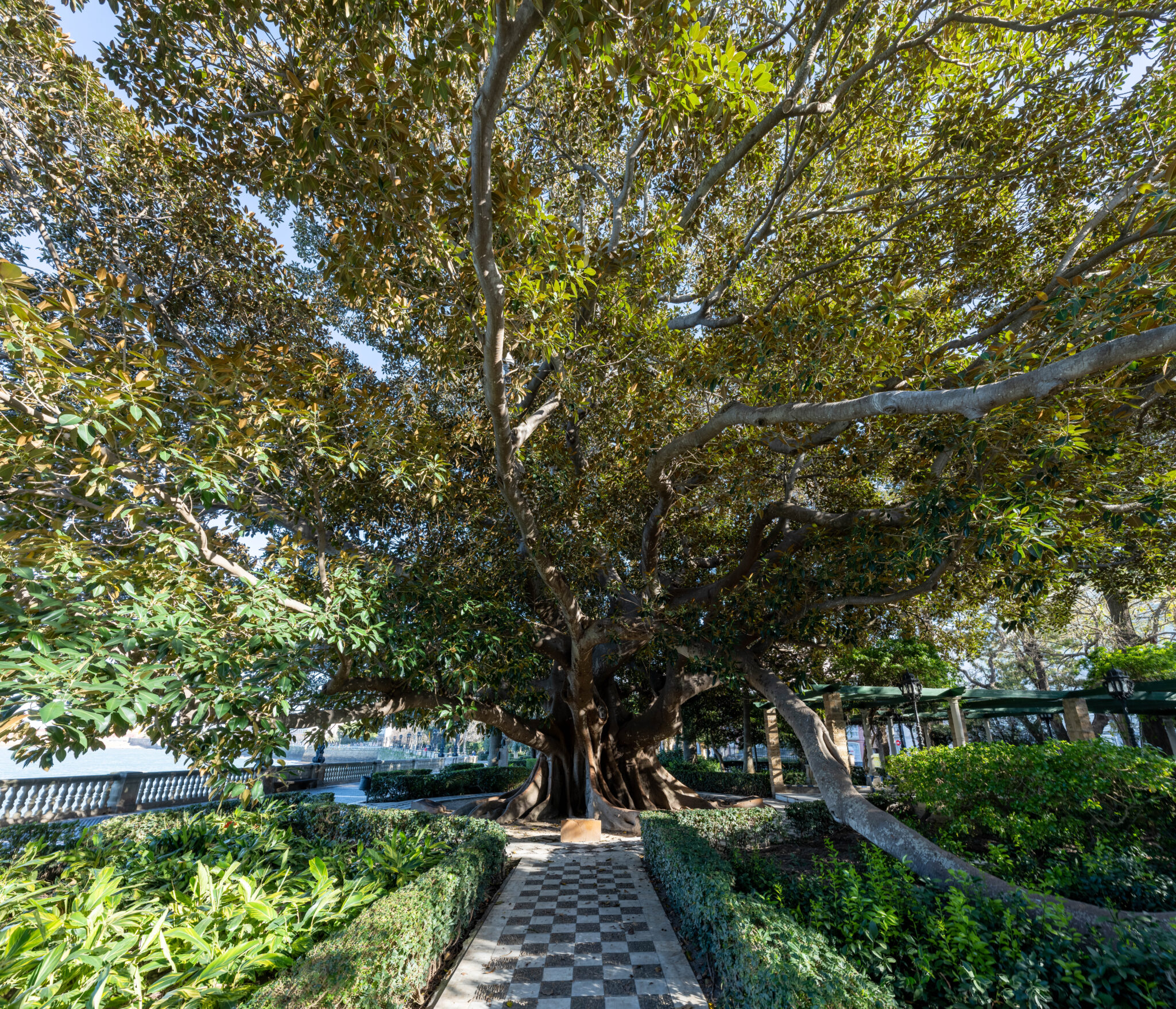 20230314-182457-DSC_7459-HDR-Pano