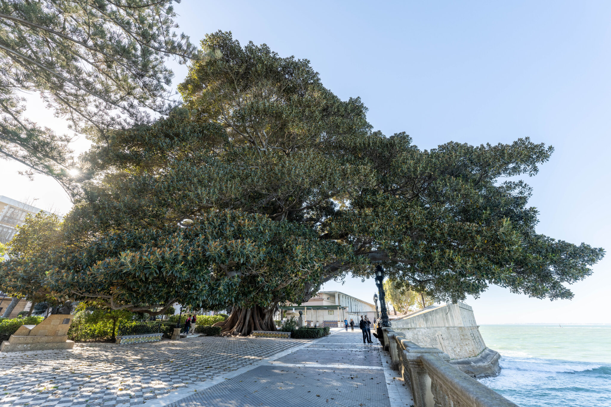 20230314-182523-DSC_7465-HDR