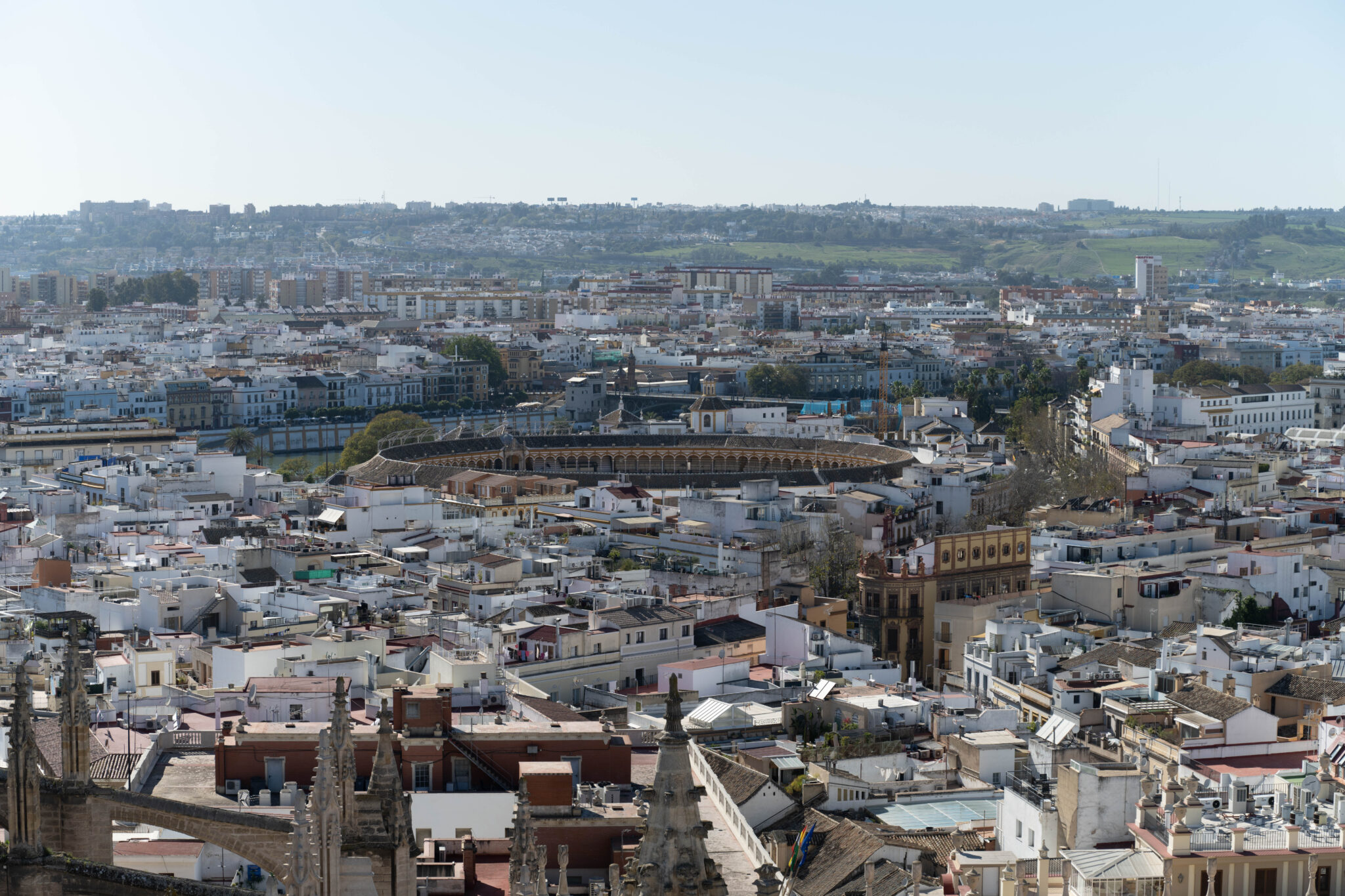 20230315-172648-DSC_7723-1