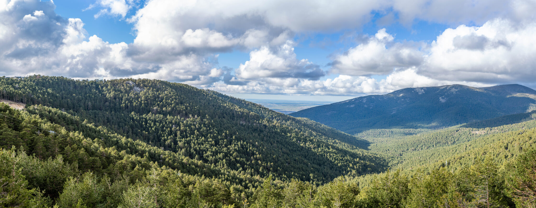 20230324-182921-DSC_0329-Pano