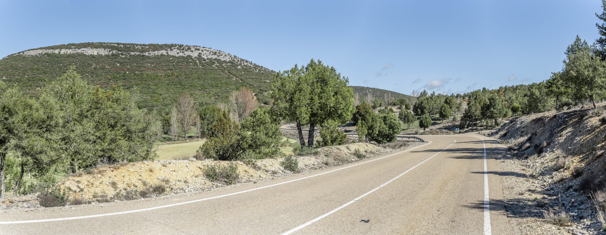 20230326-115511-DSC_0880-Pano