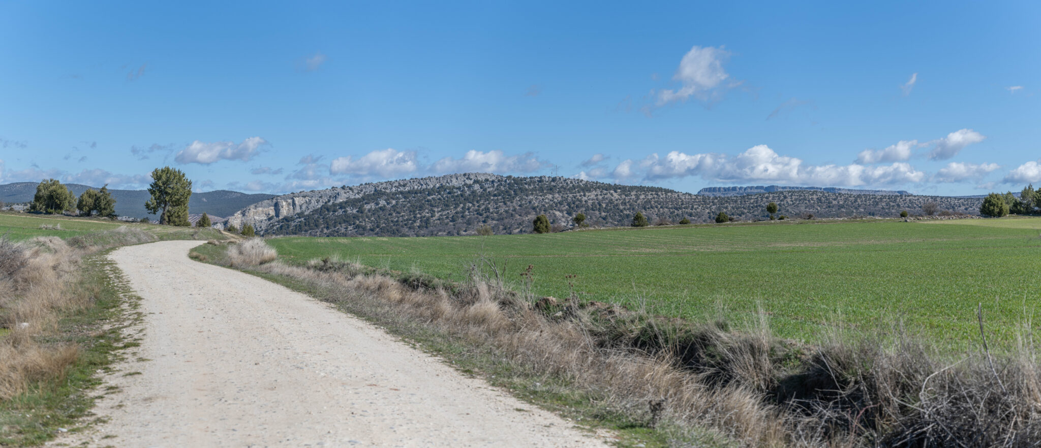 20230326-120404-DSC_0881-Pano