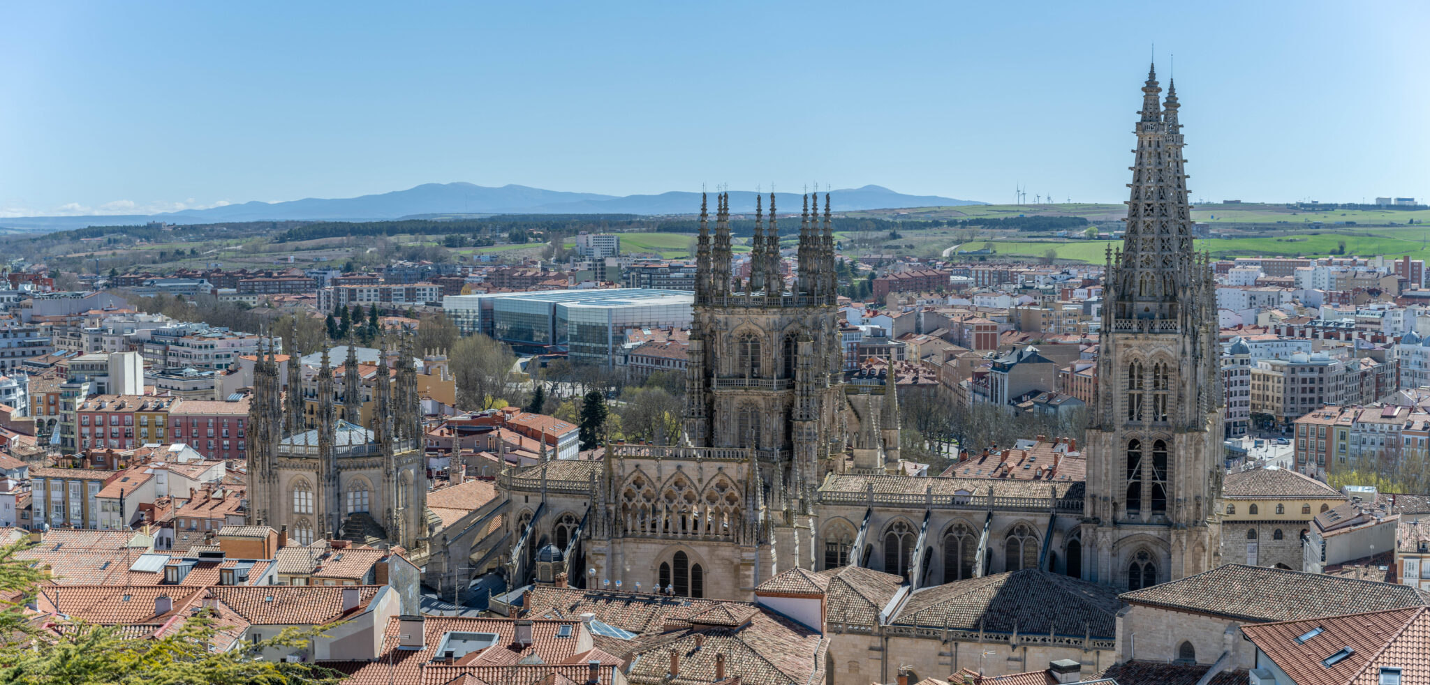 20230327-125330-DSC_1263-Pano-1