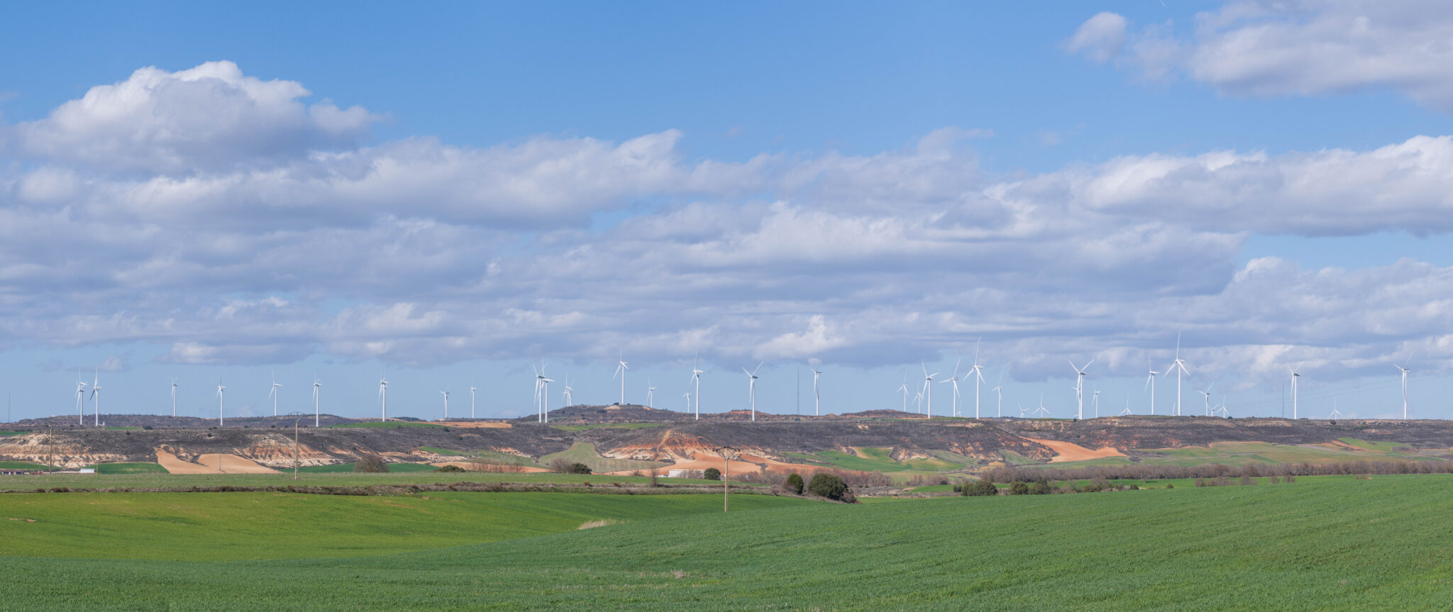 3-20230326-170921-DSC_0952-Pano