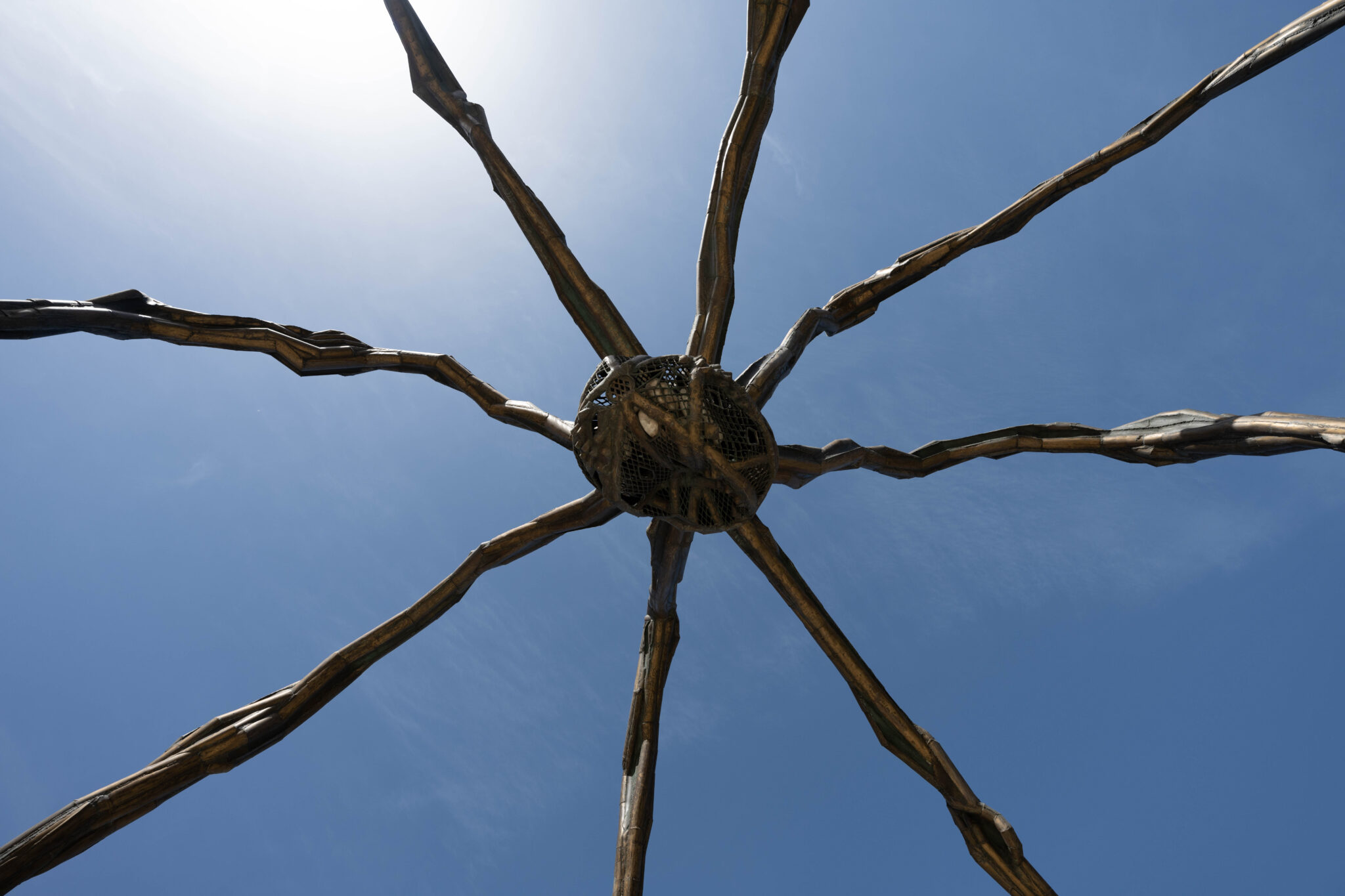 20230328-123737-DSC_2001