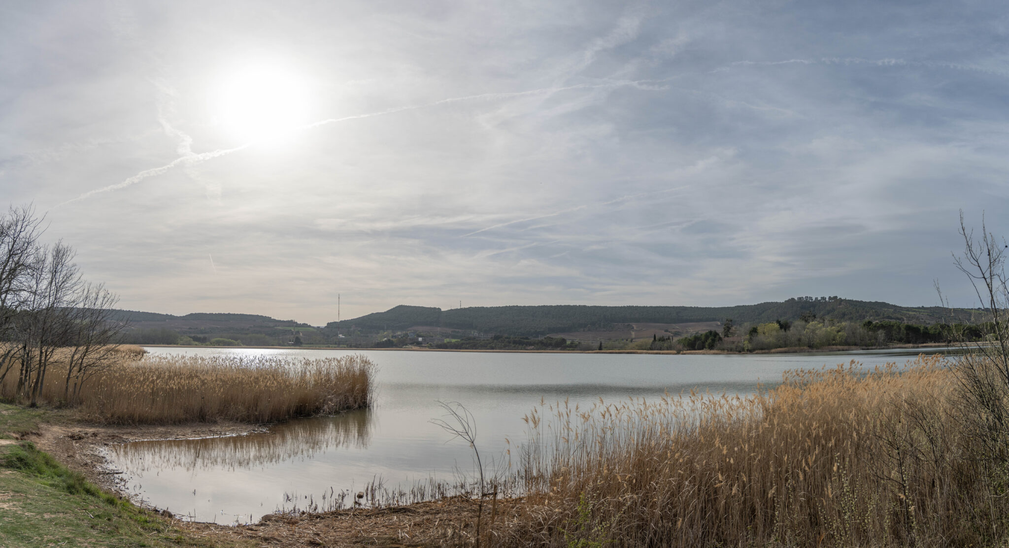 20230329-181223-DSC_2172-Pano