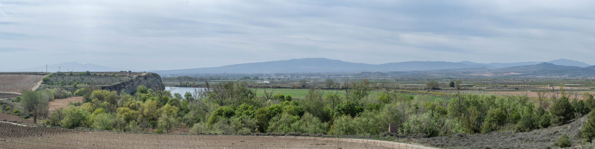 20230330-125712-DSC_2200-Pano