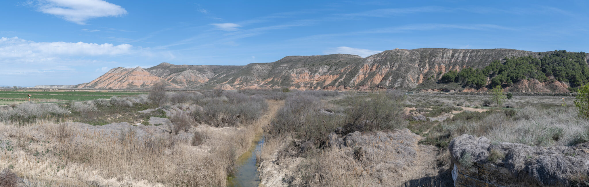 20230330-160554-DSC_2296-Pano