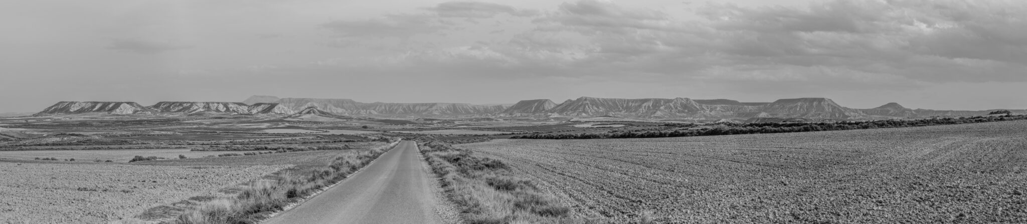 20230331-175602-DSC_2476-Pano
