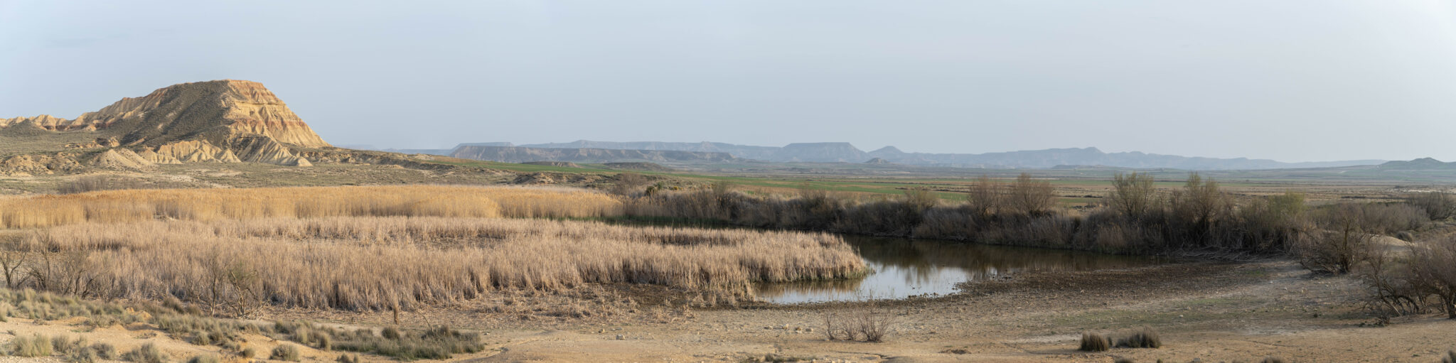 20230331-192234-DSC_2695-Pano