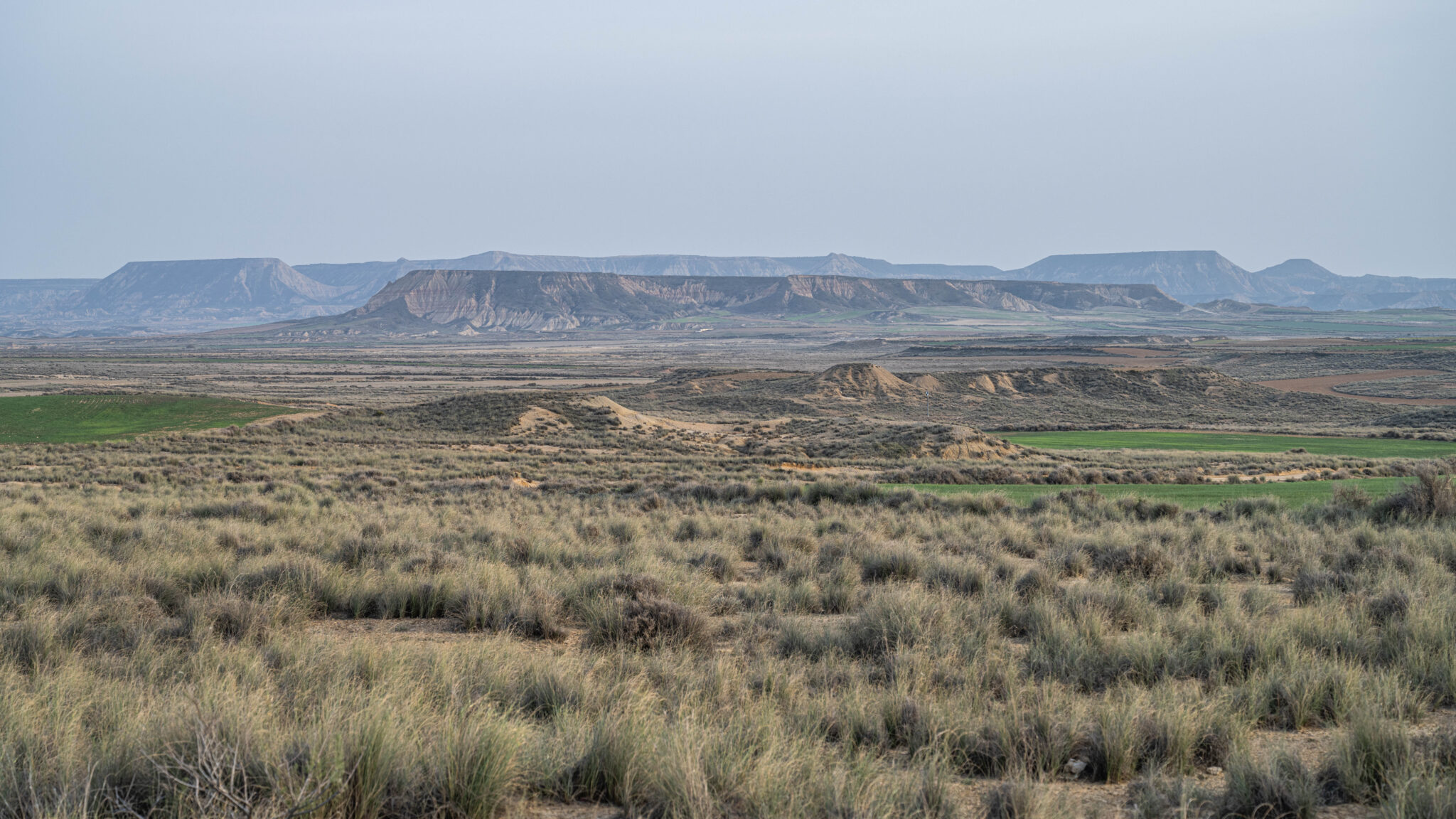 20230331-192915-DSC_2720