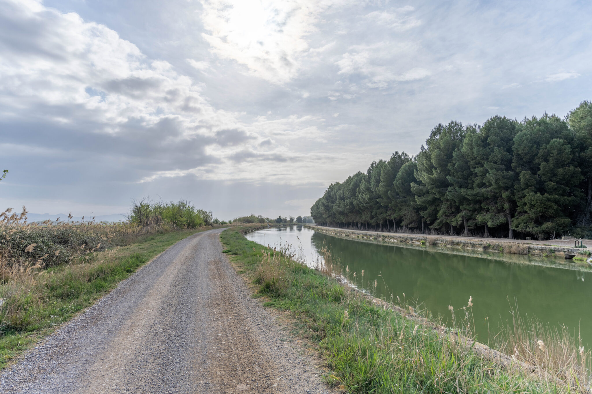 20230401-102528-DSC_2754-HDR