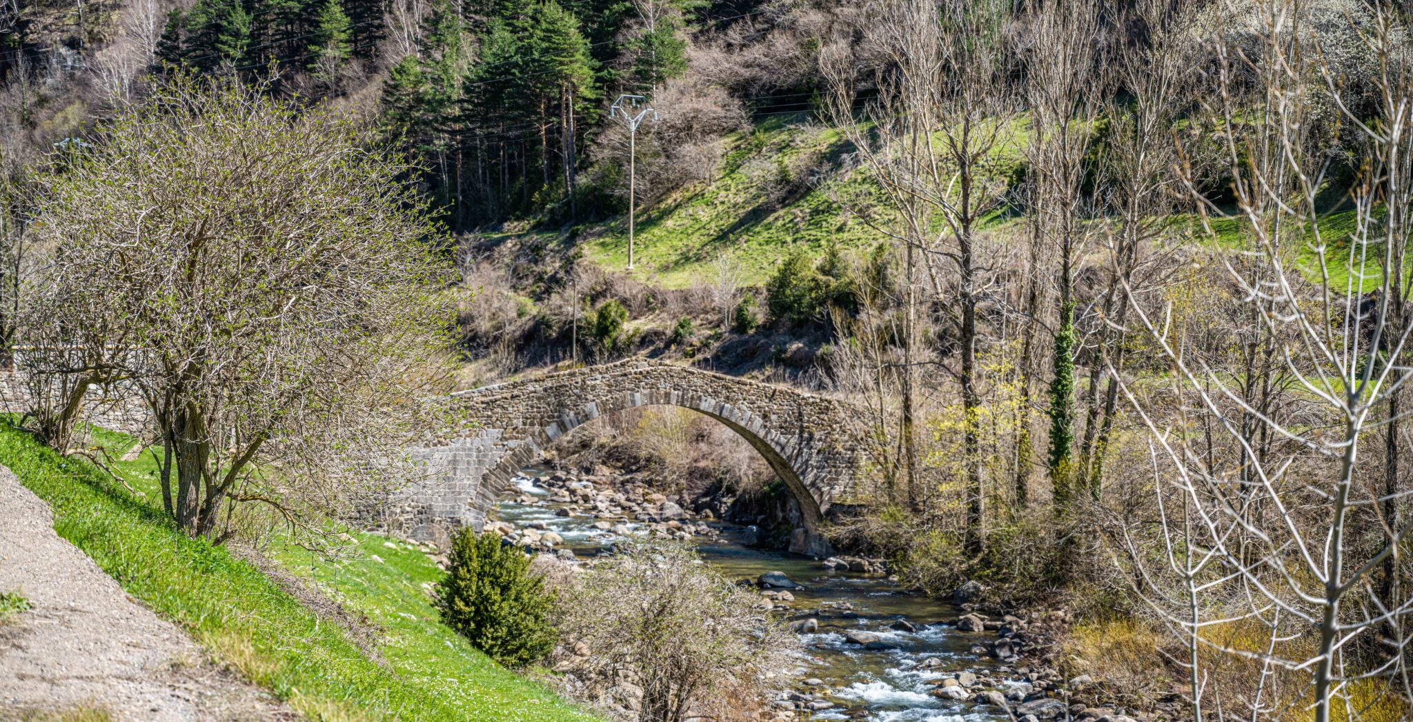 20230404-124457-DSC_3534-Pano