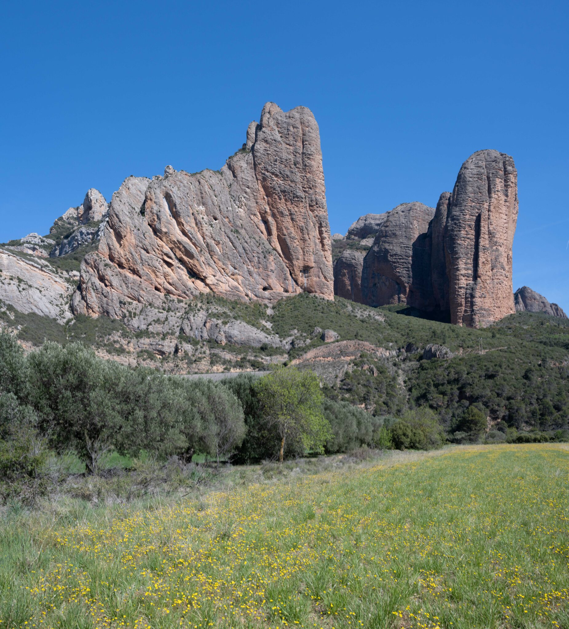 20230405-153541-DSC_4321-Pano