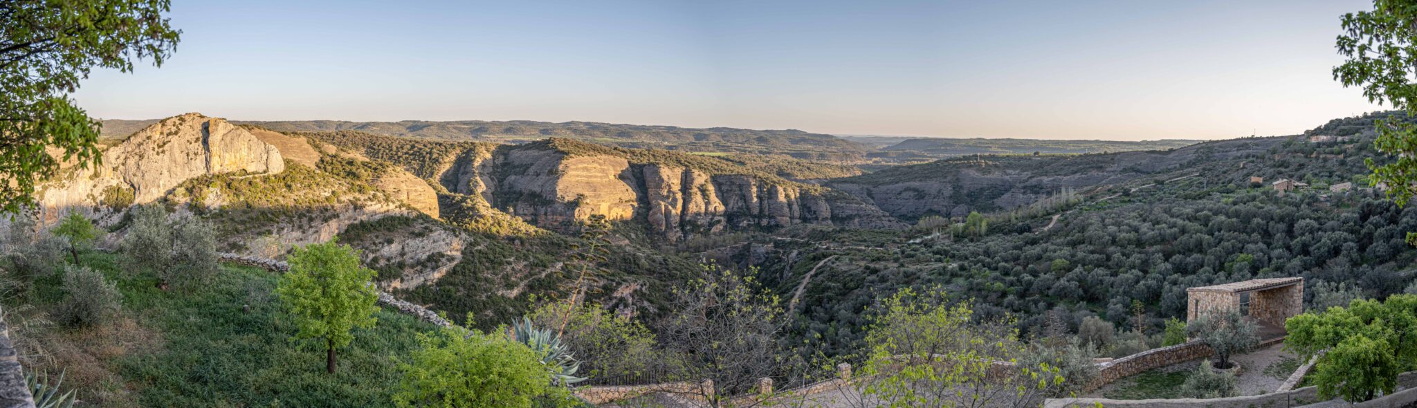 20230406-194130-DSC_4762-Pano