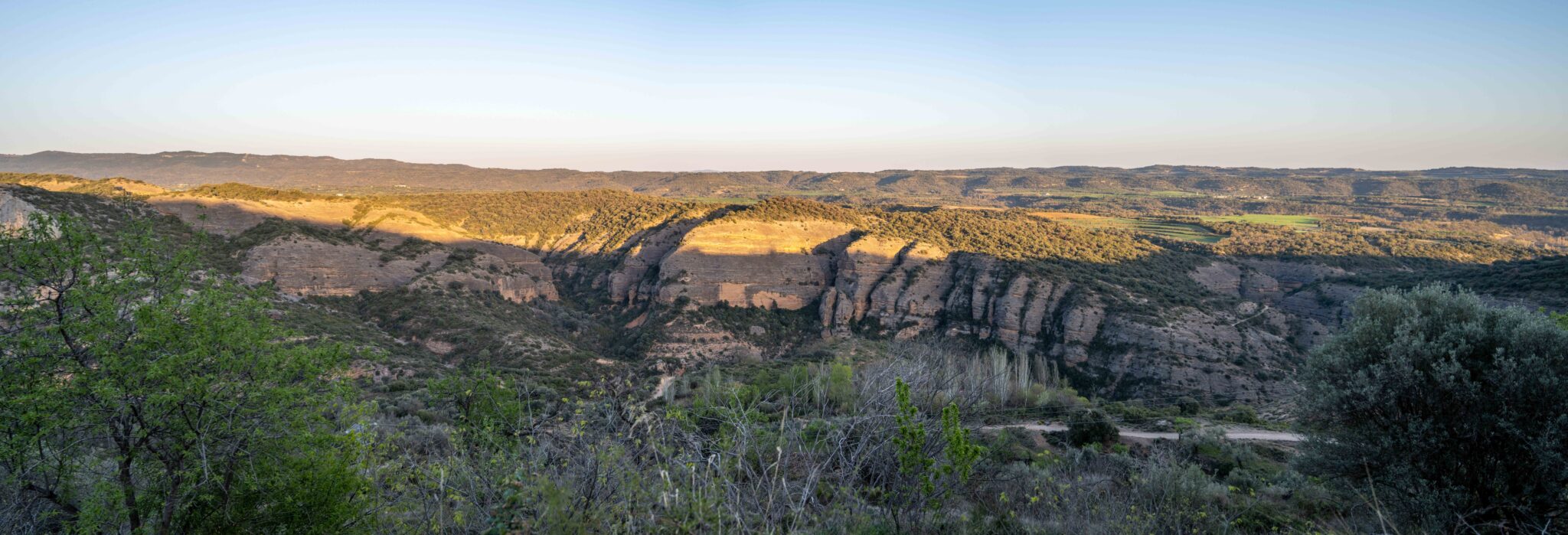 20230406-195936-DSC_4831-Pano