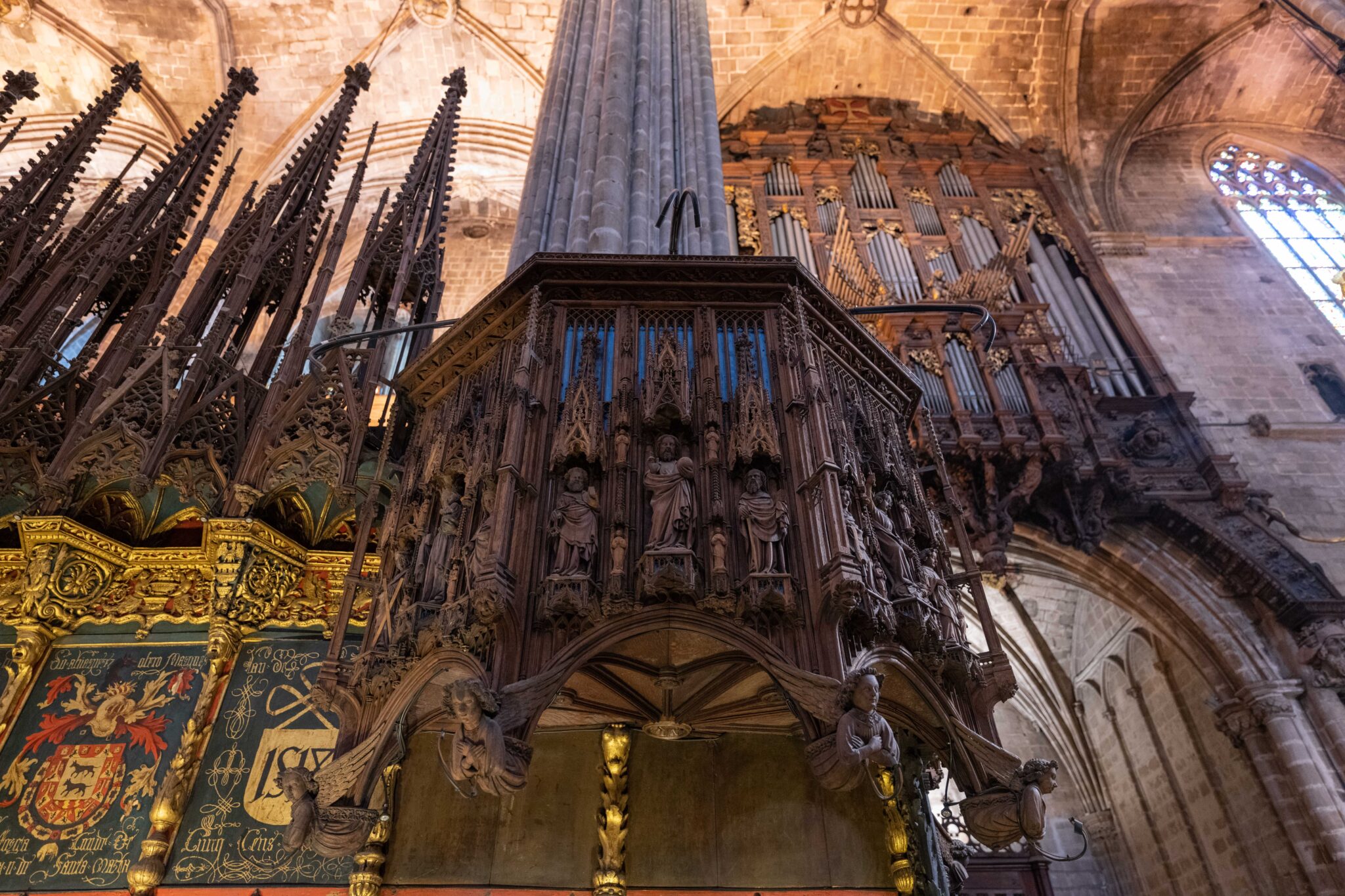 20230411-114352-DSC_6385