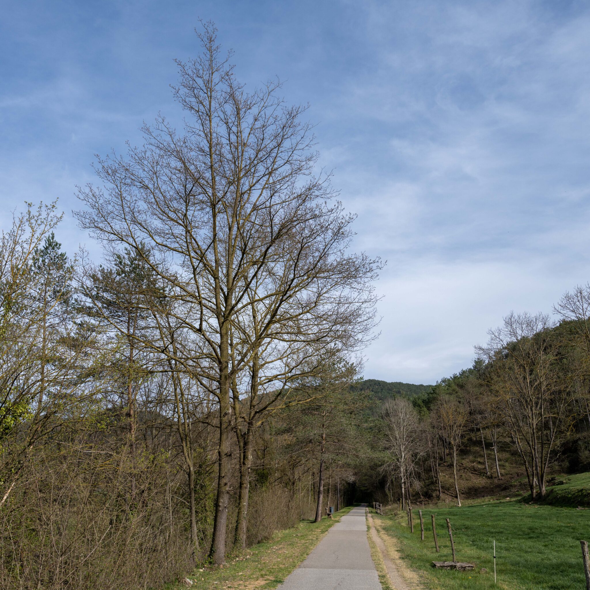 20230411-171725-DSC_6490