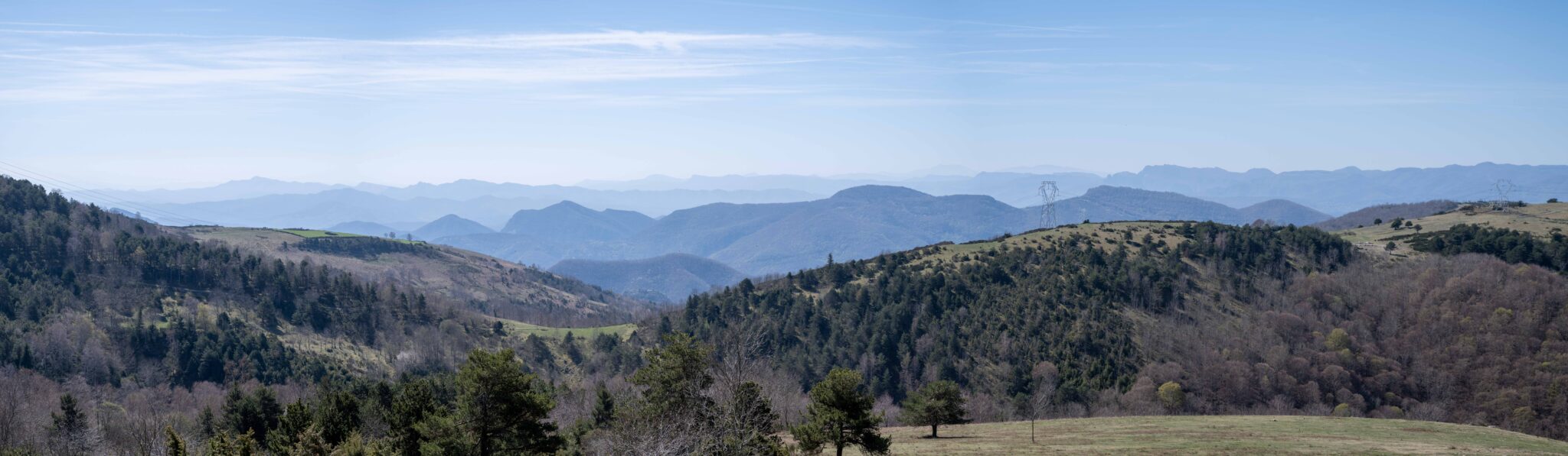 20230412-113243-DSC_6539-Pano