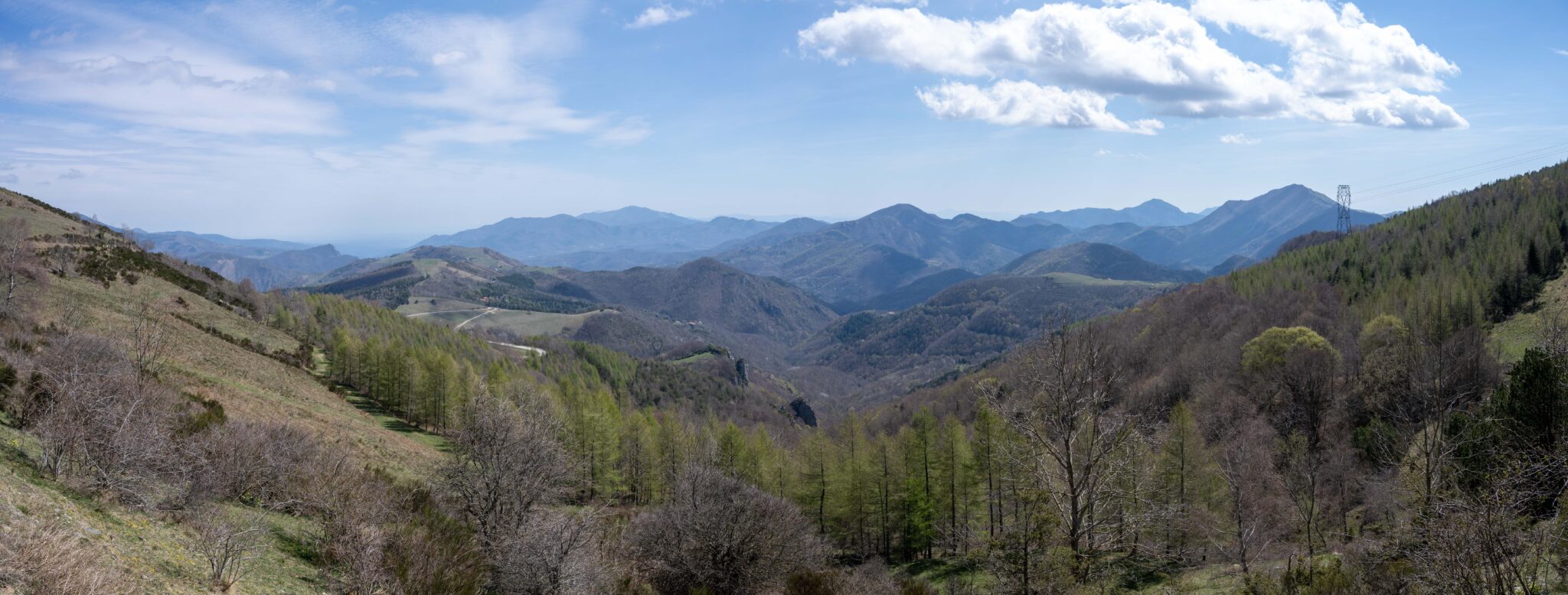 20230412-122049-DSC_6593-Pano