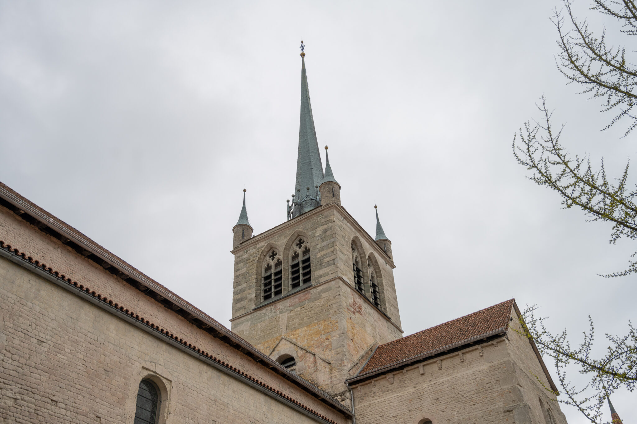 20230416-16h39m-DSC_7297