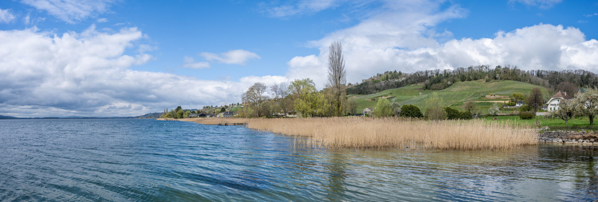 20230417-11h47m-DSC_7449-Pano