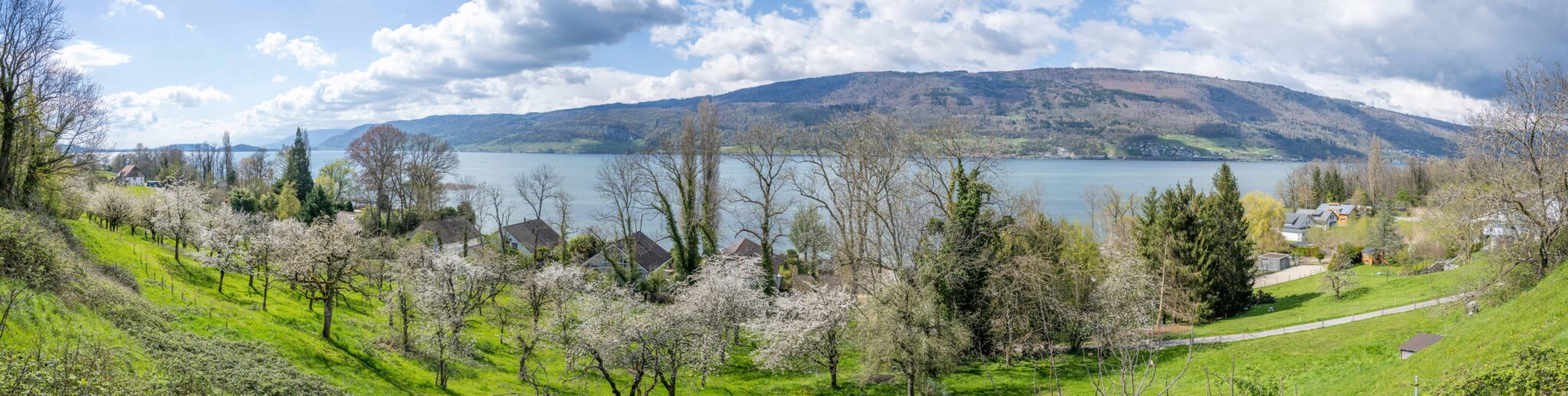 20230417-15h28m-DSC_7486-Pano